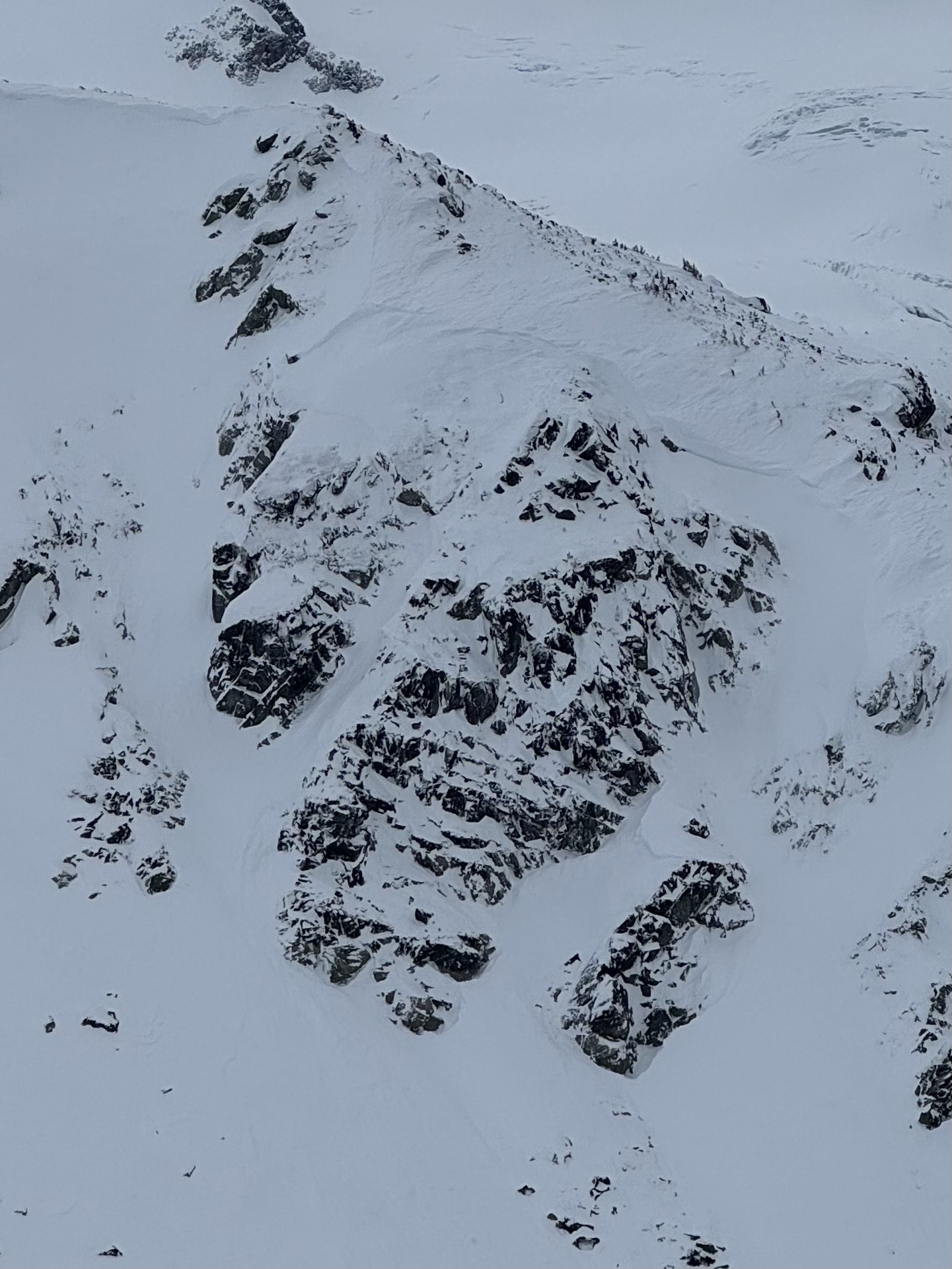 Observation photo
