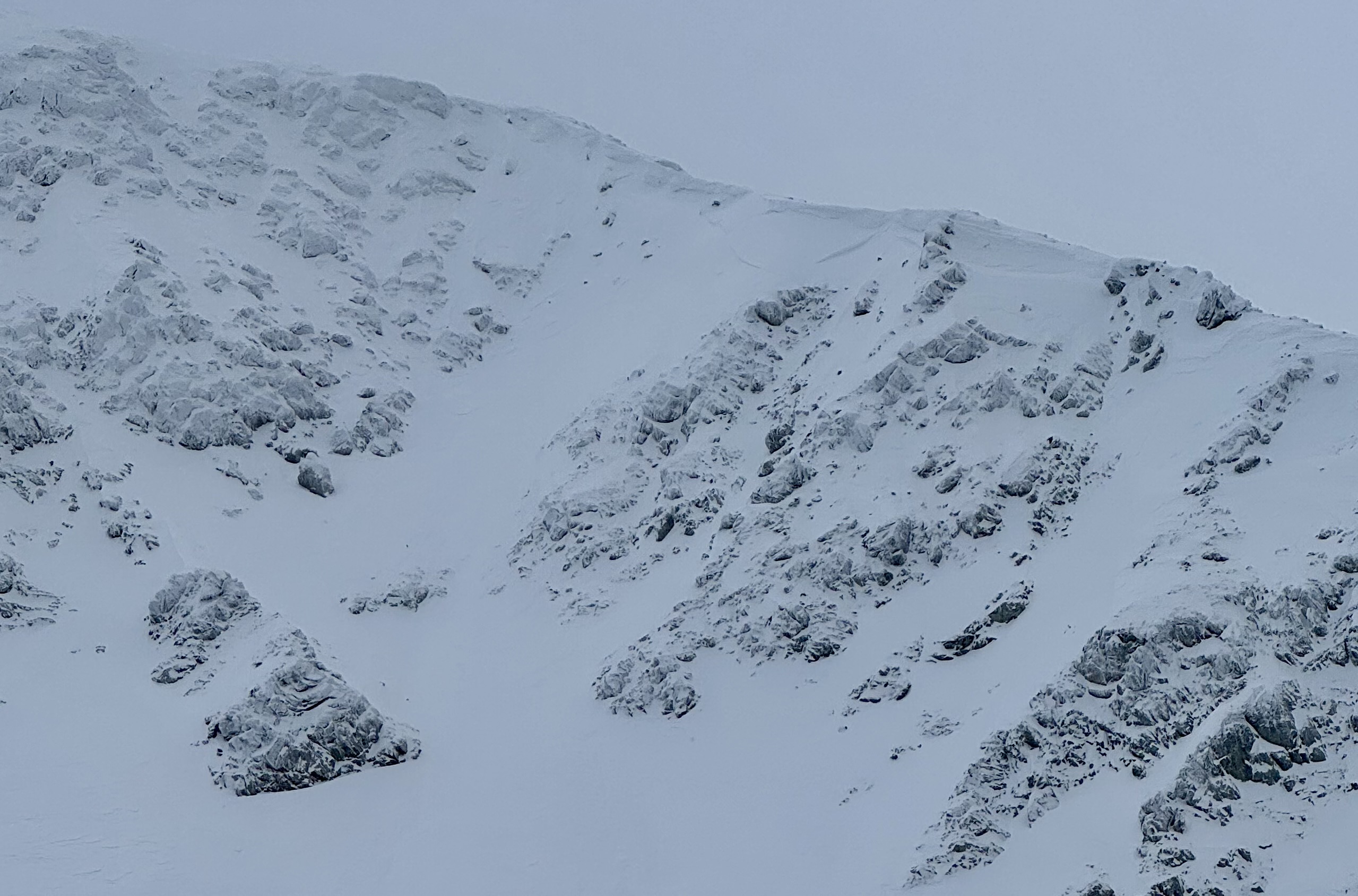 Observation photo