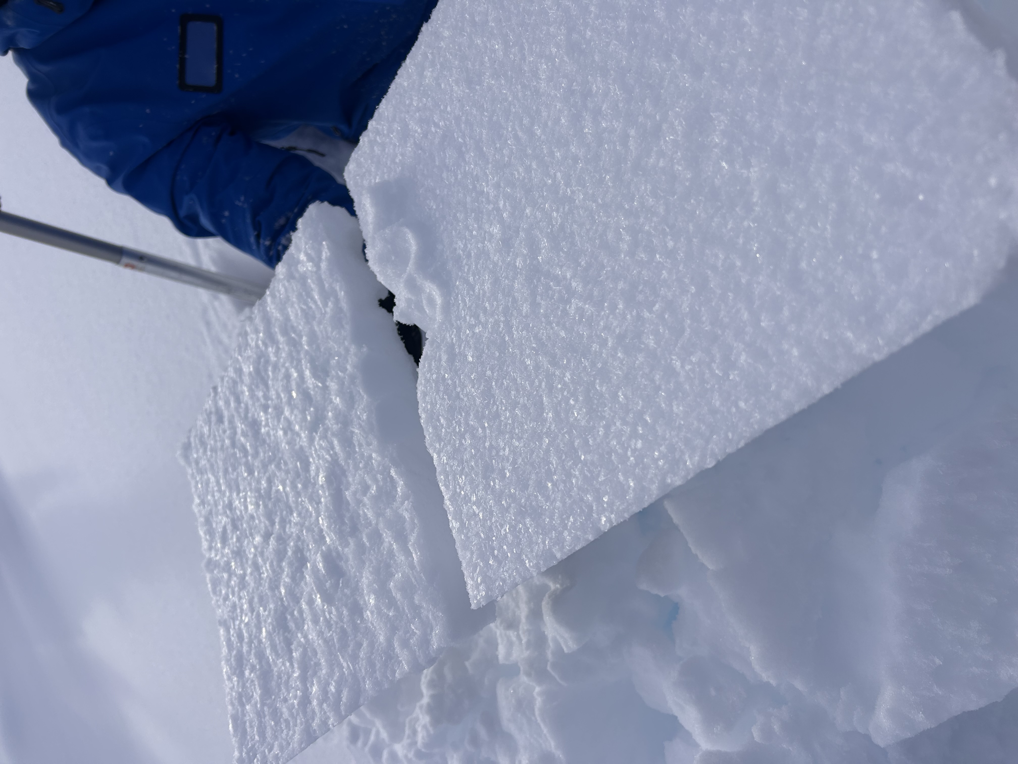 Observation photo