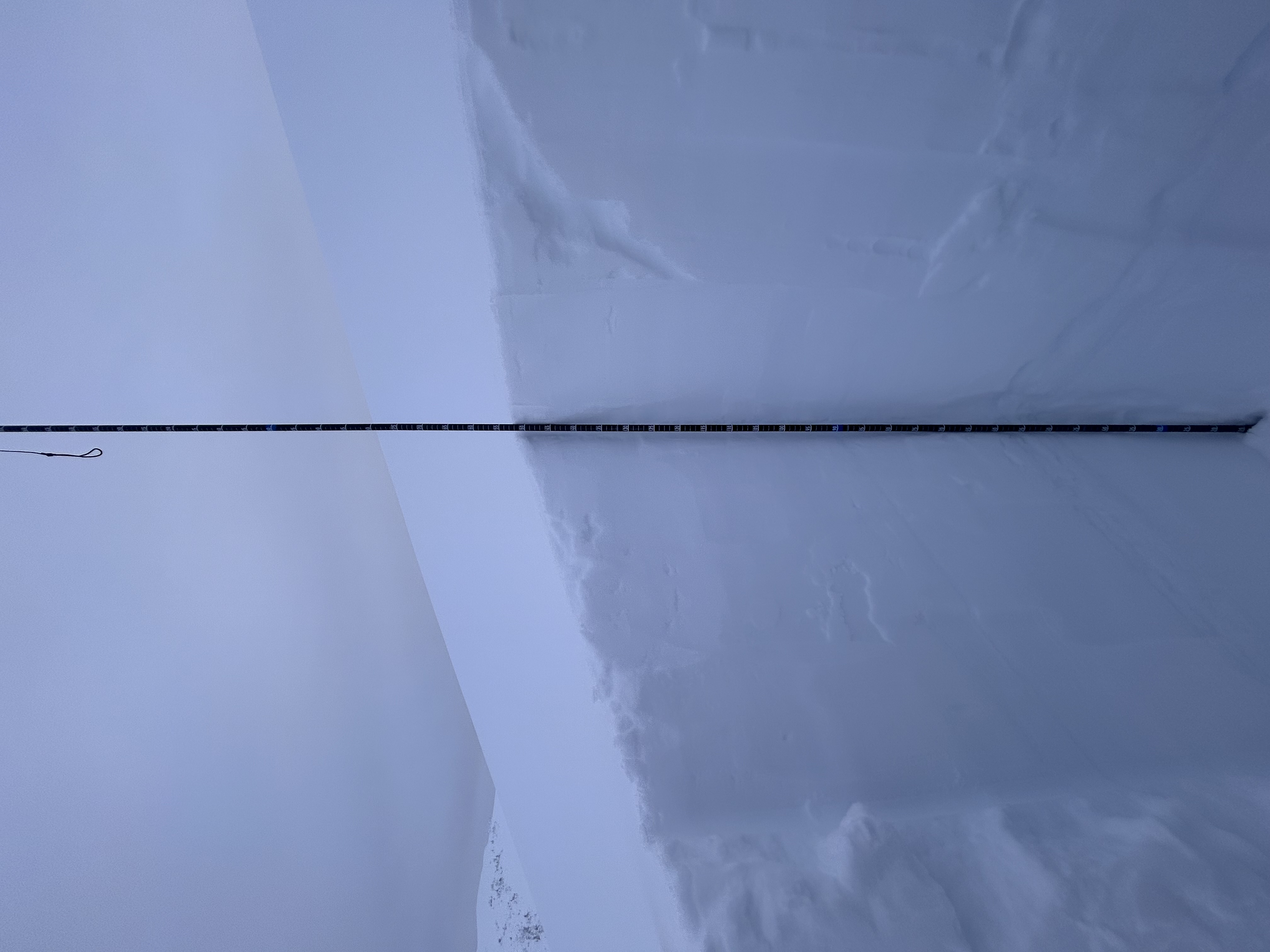 Observation photo