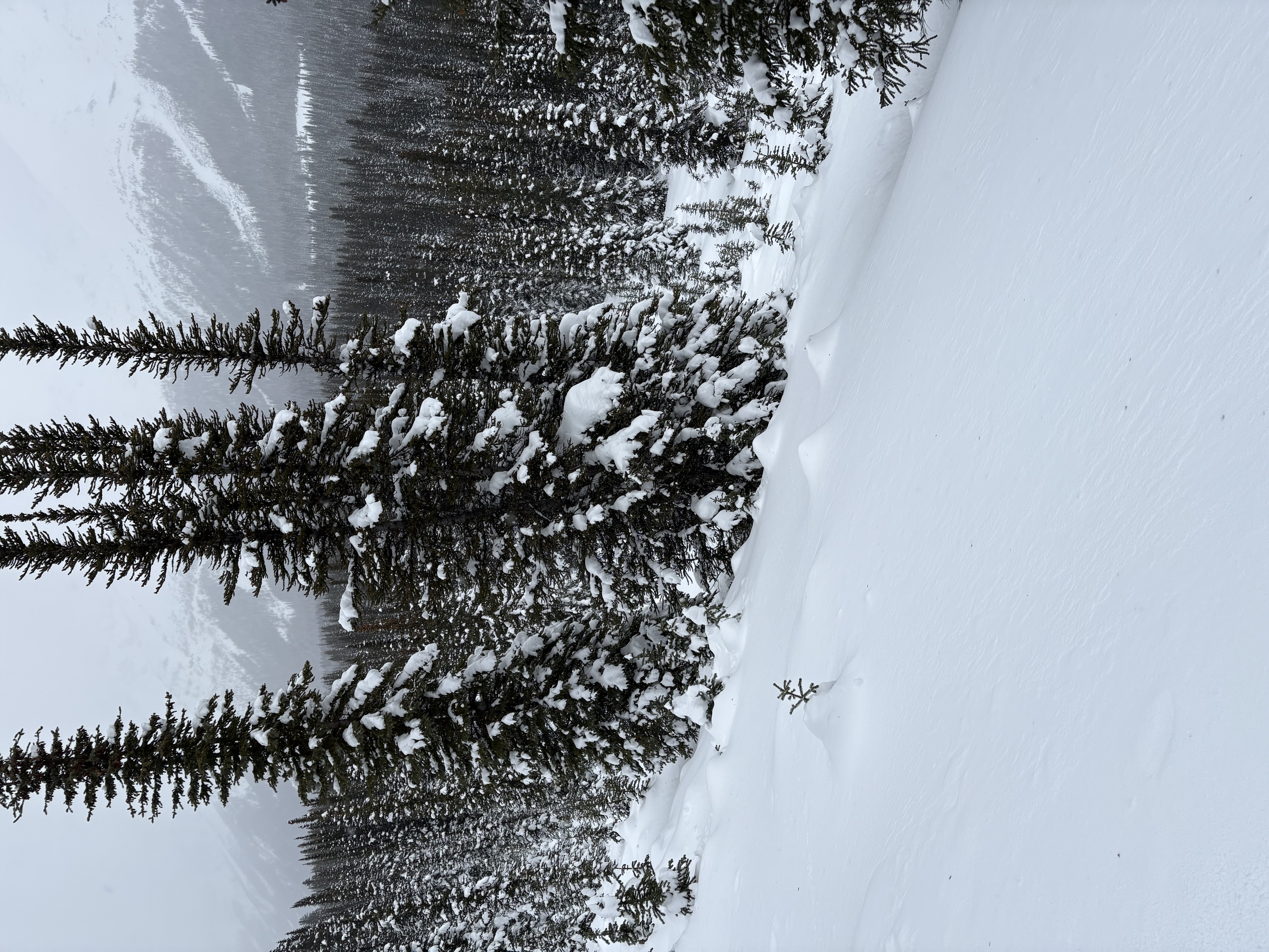 Observation photo