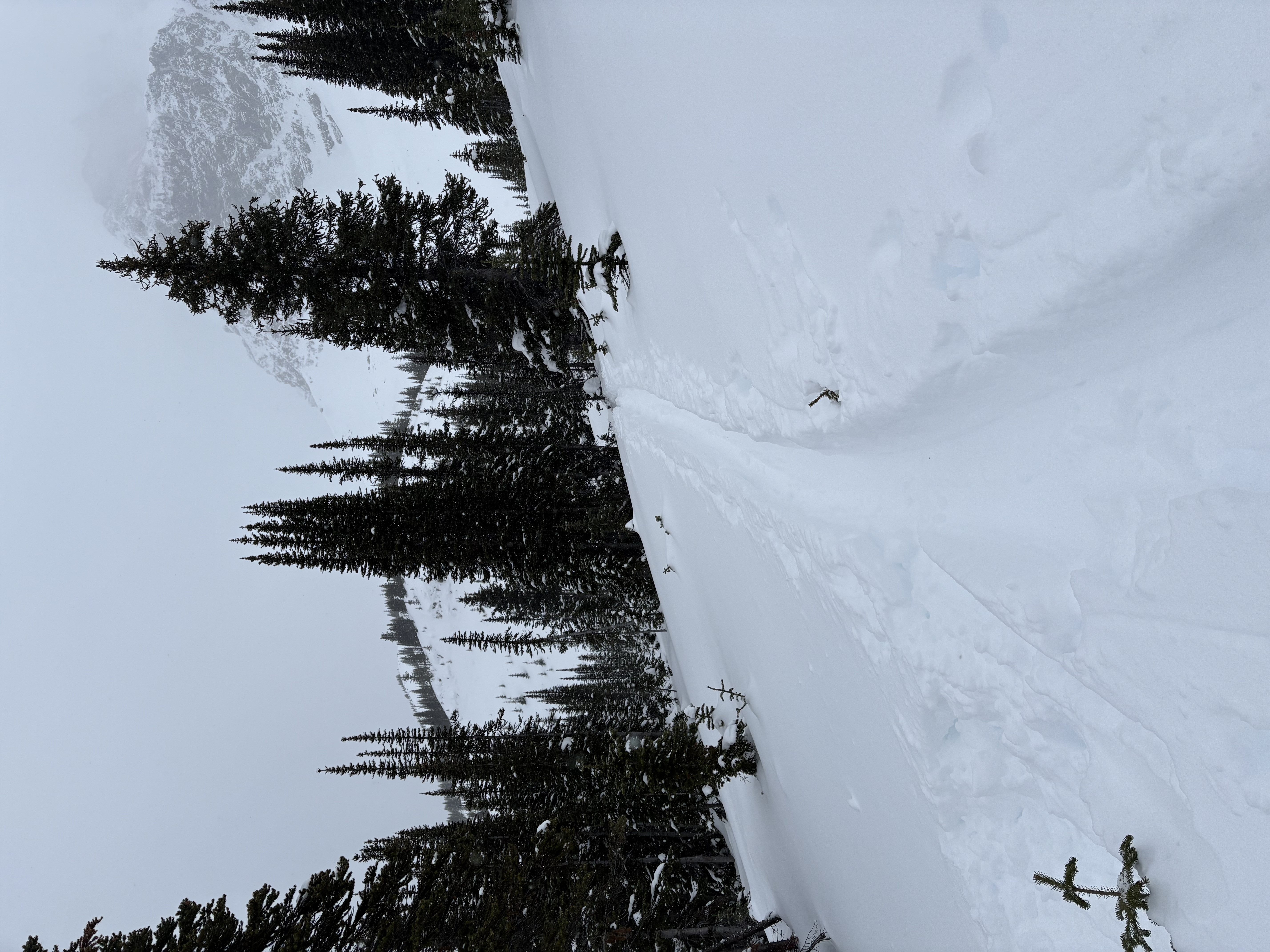 Observation photo
