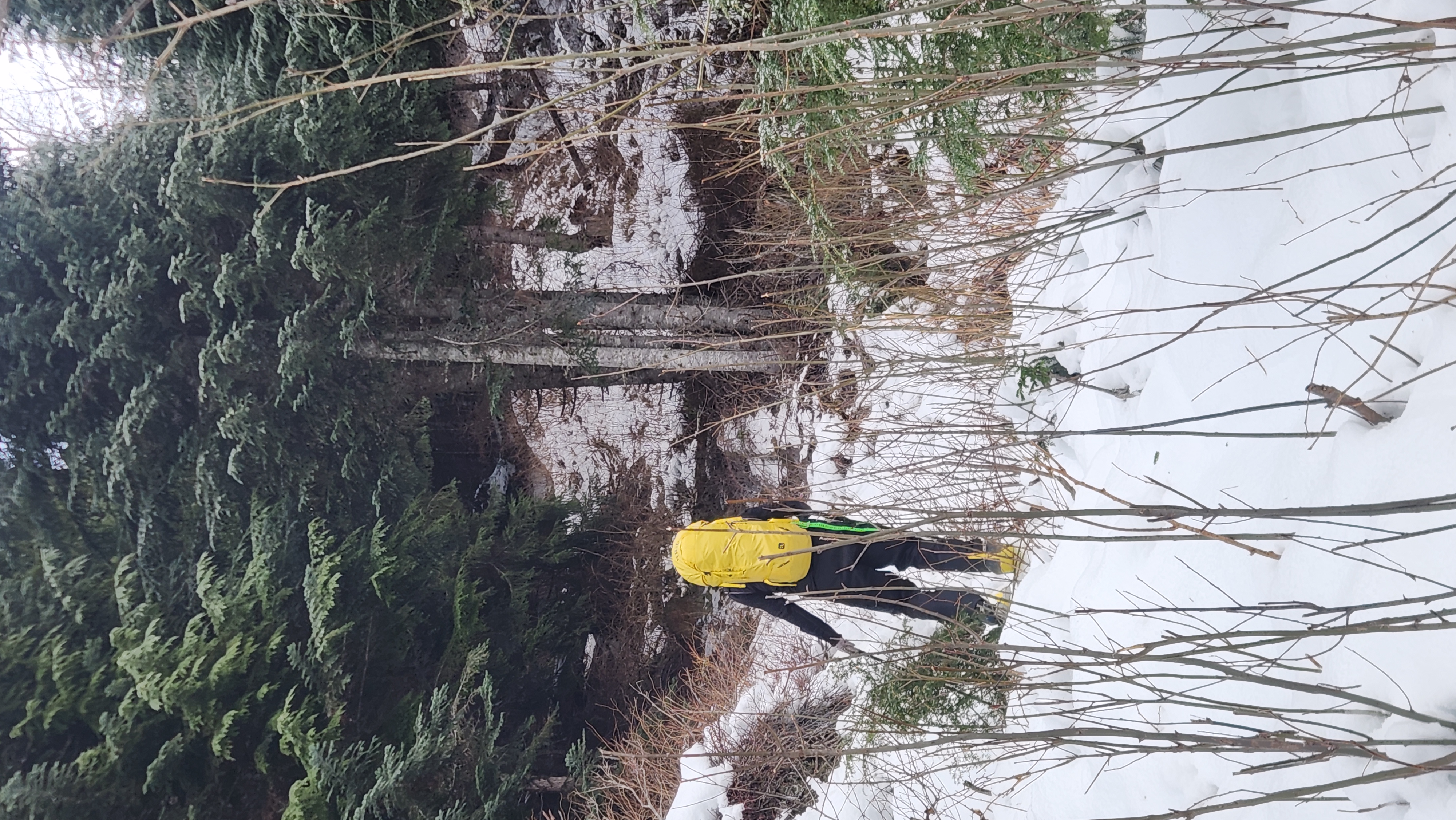 Observation photo