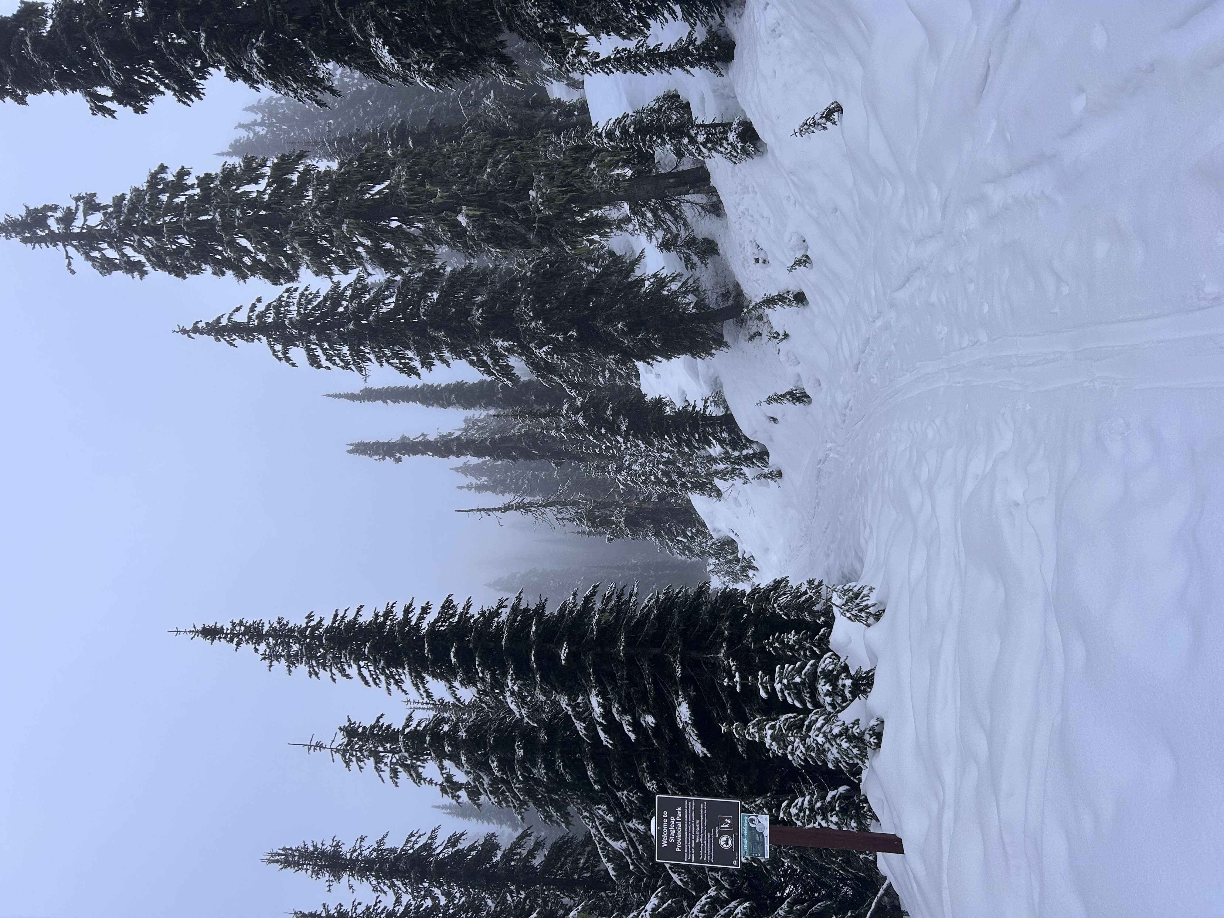 Observation photo