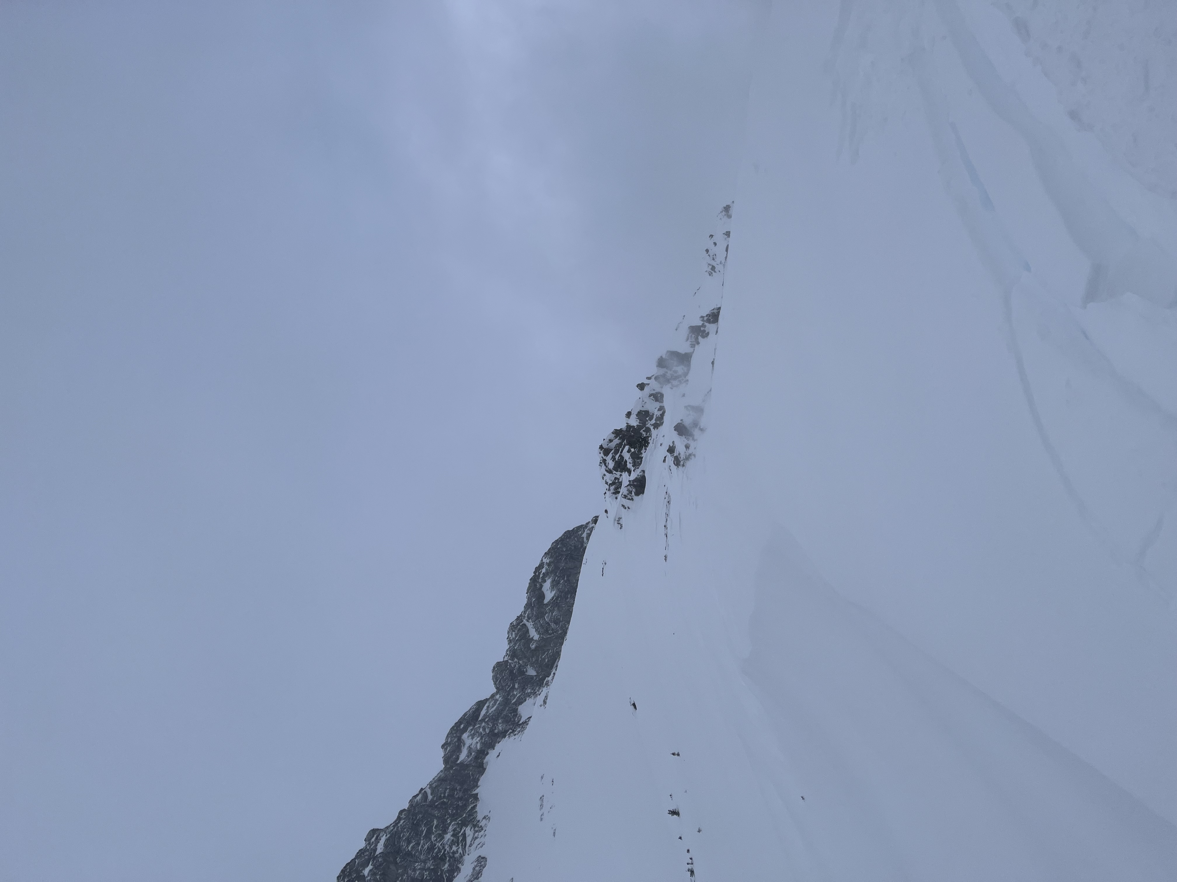 Observation photo