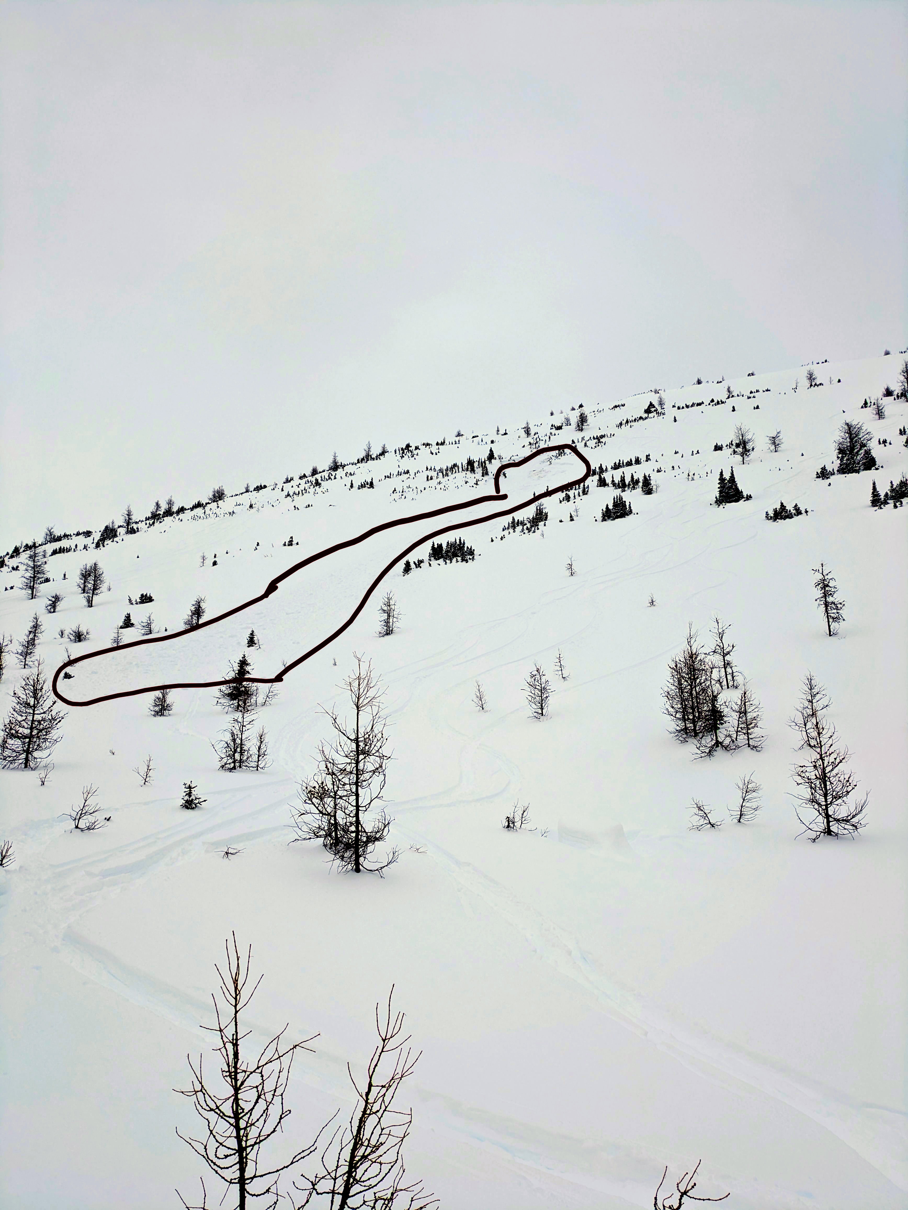 Observation photo