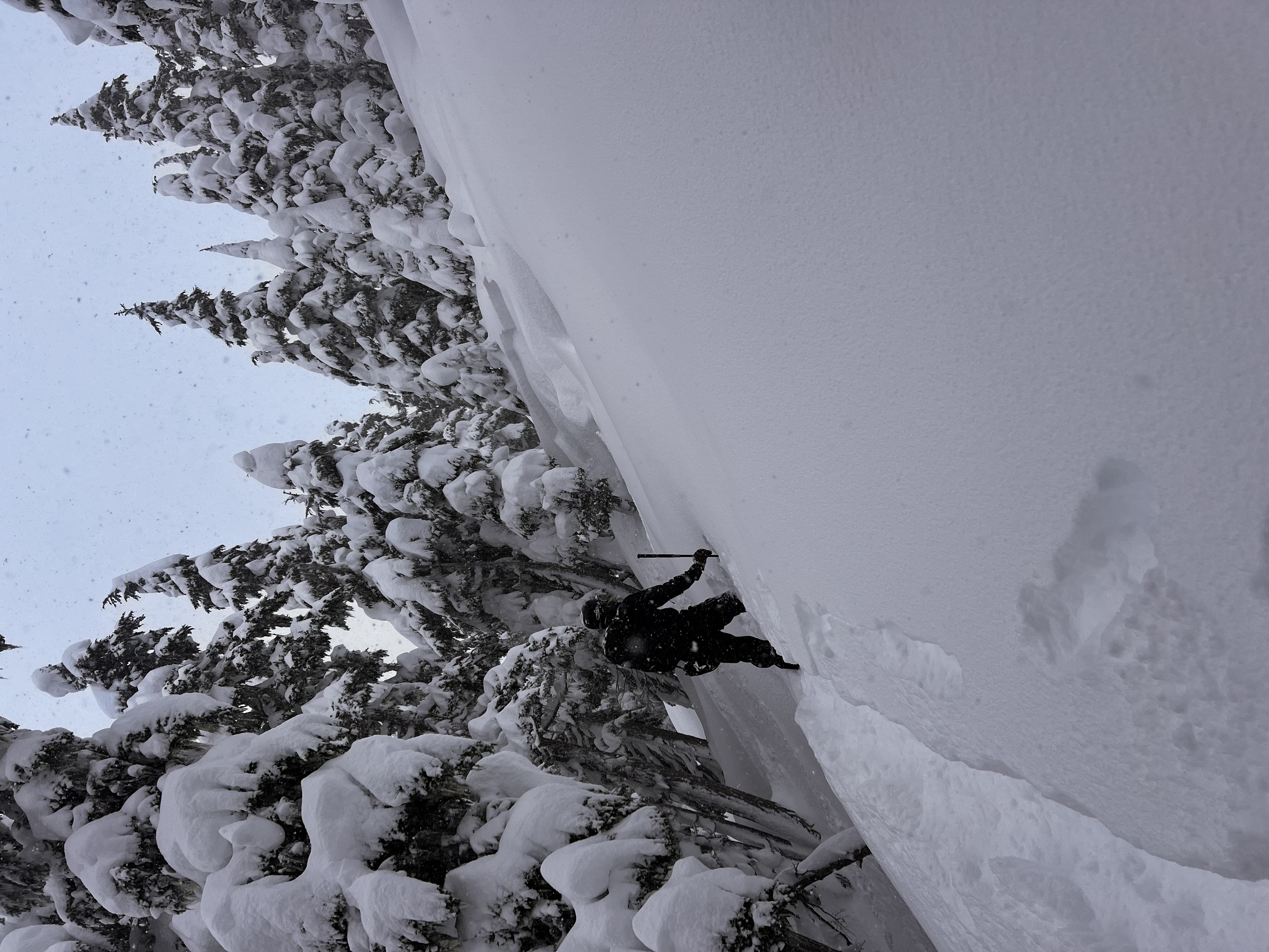 Observation photo