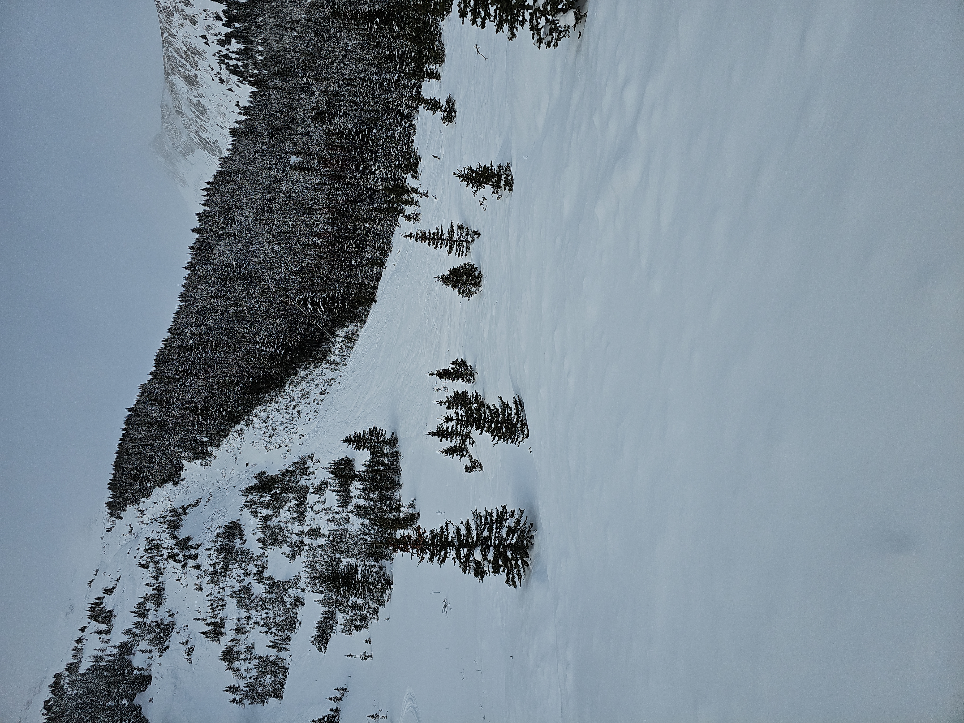 Observation photo