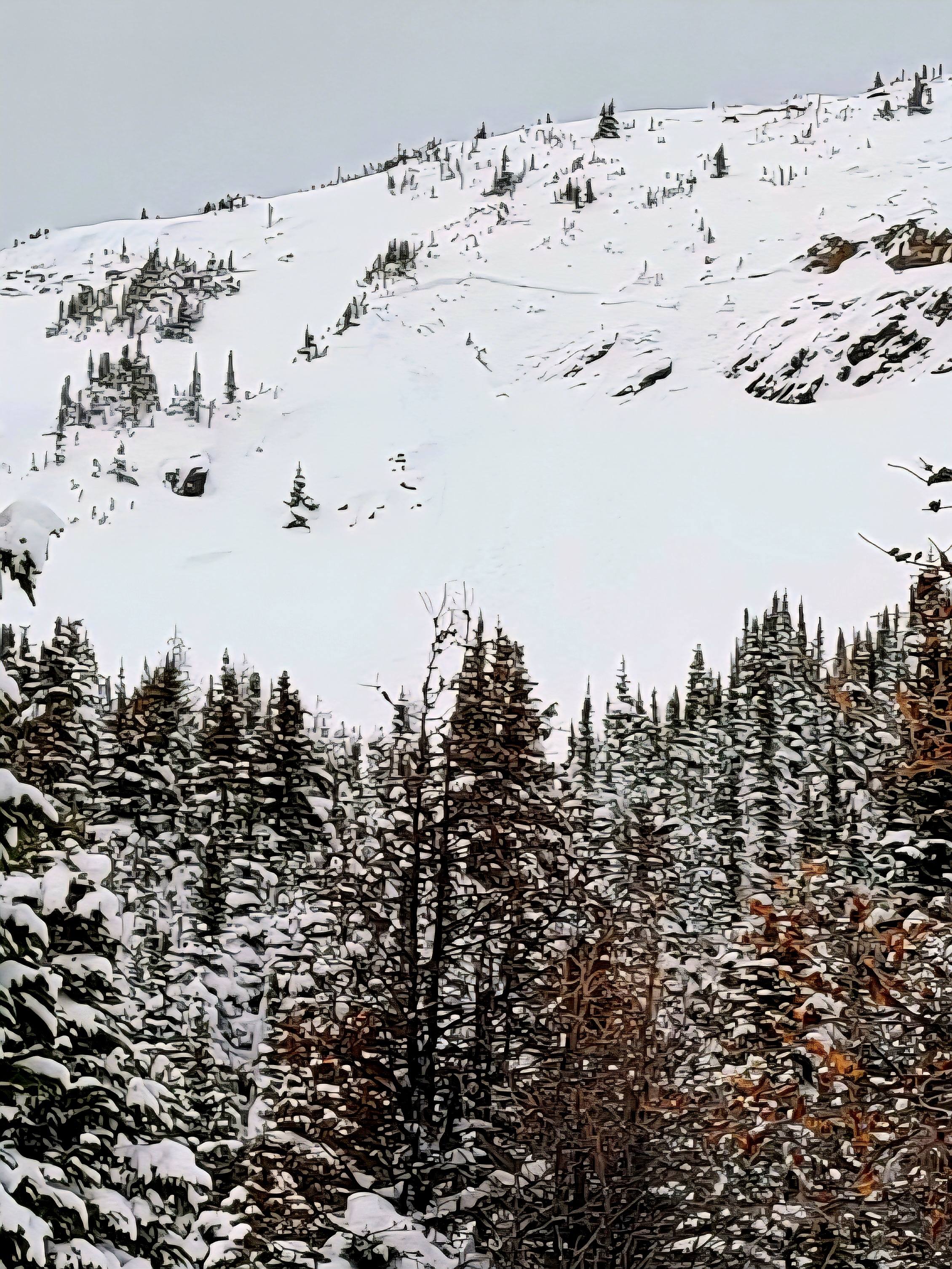 Observation photo