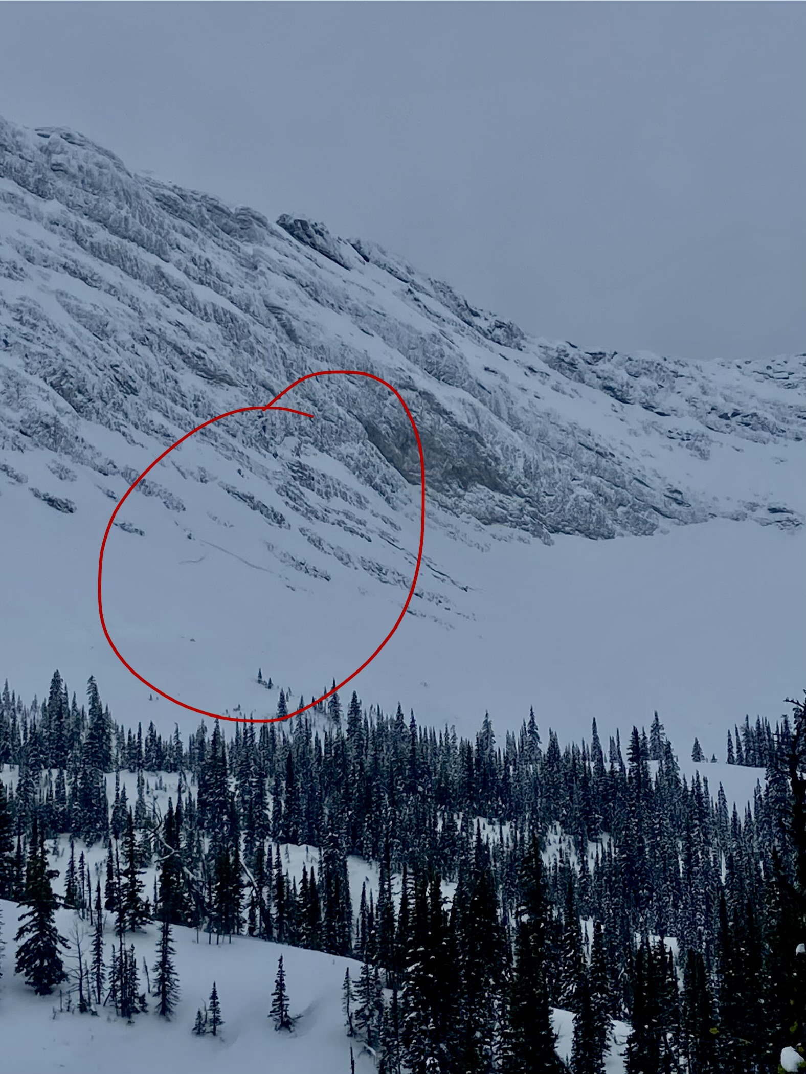 Observation photo