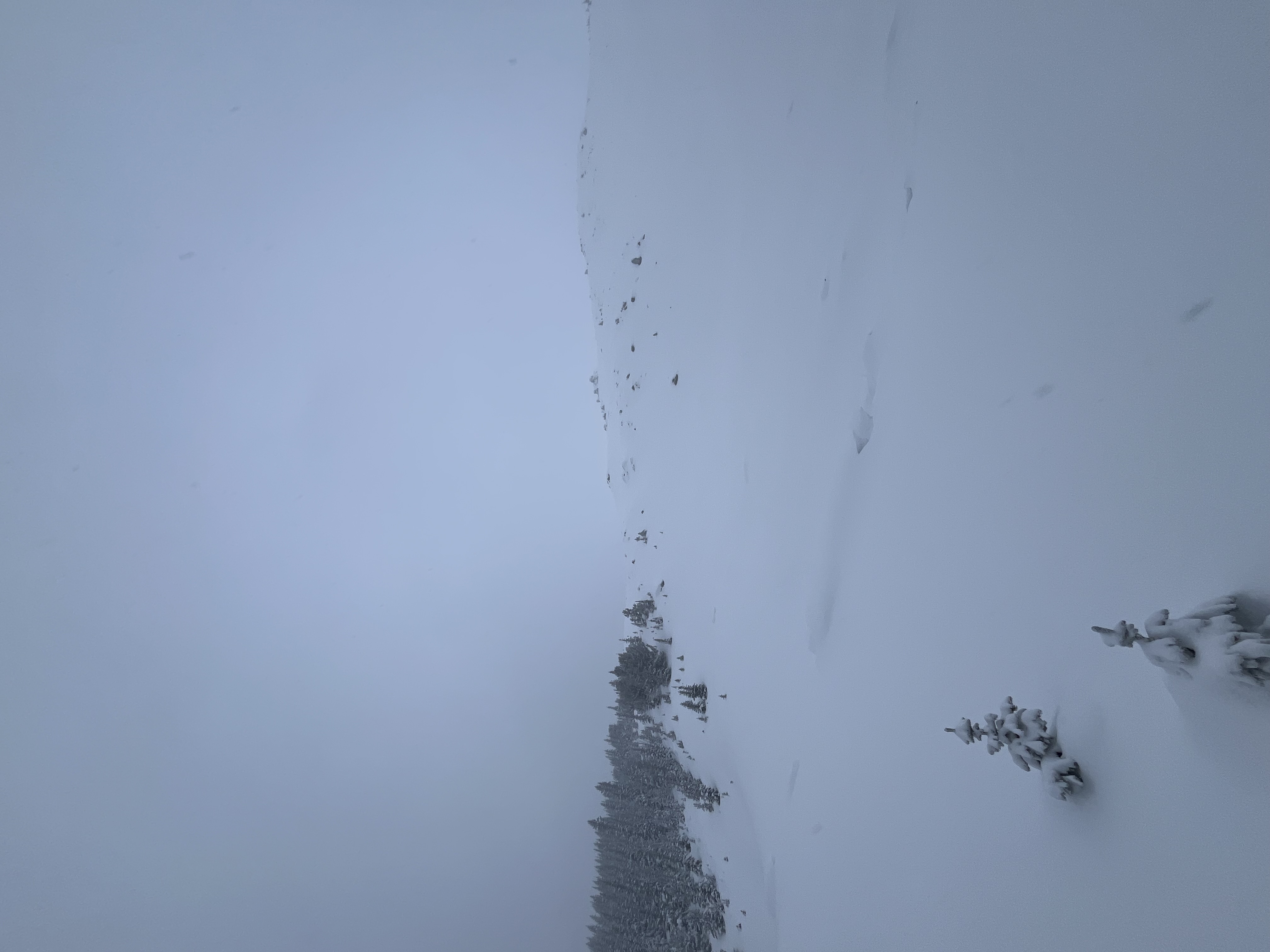Observation photo
