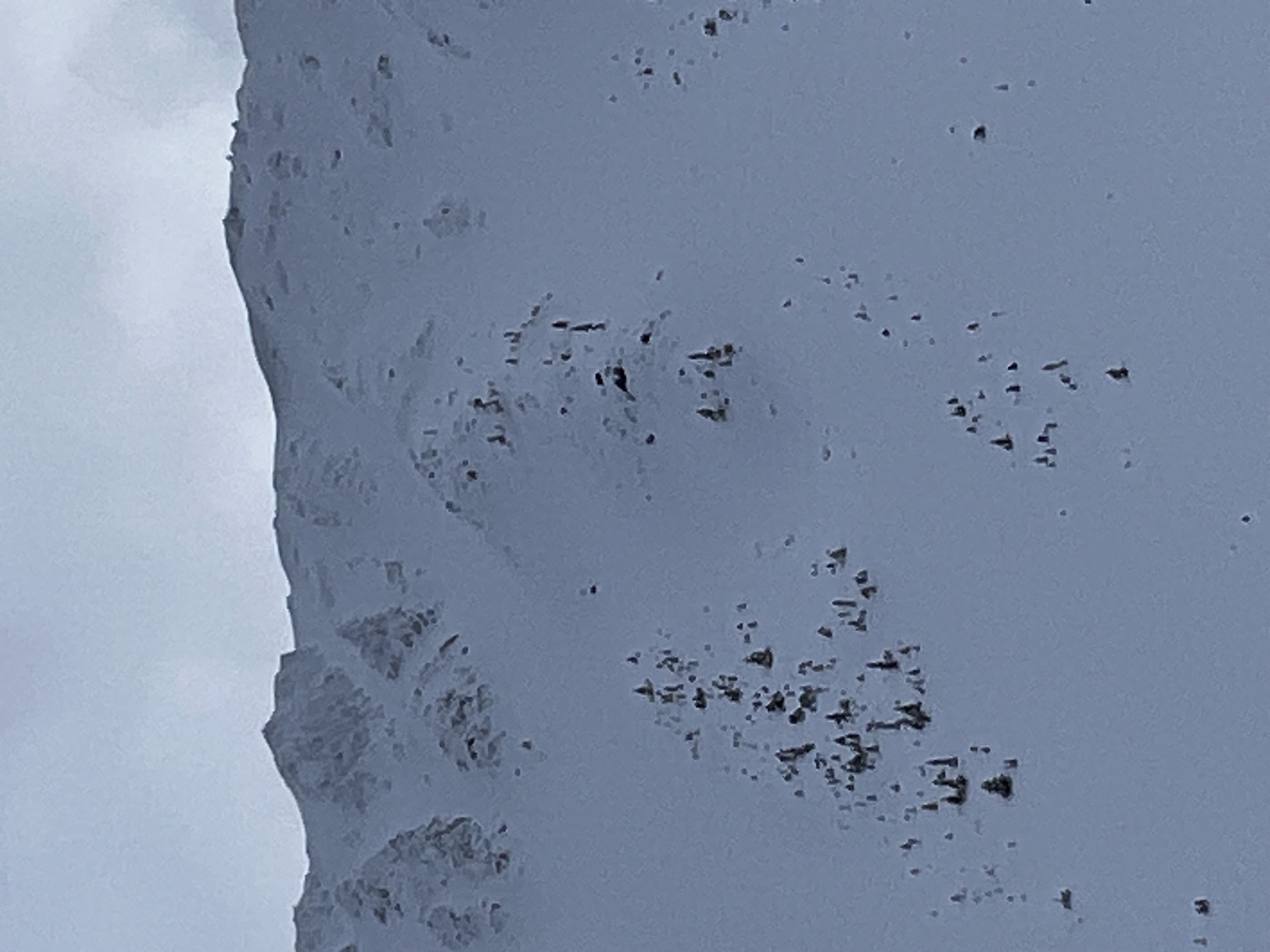 Observation photo