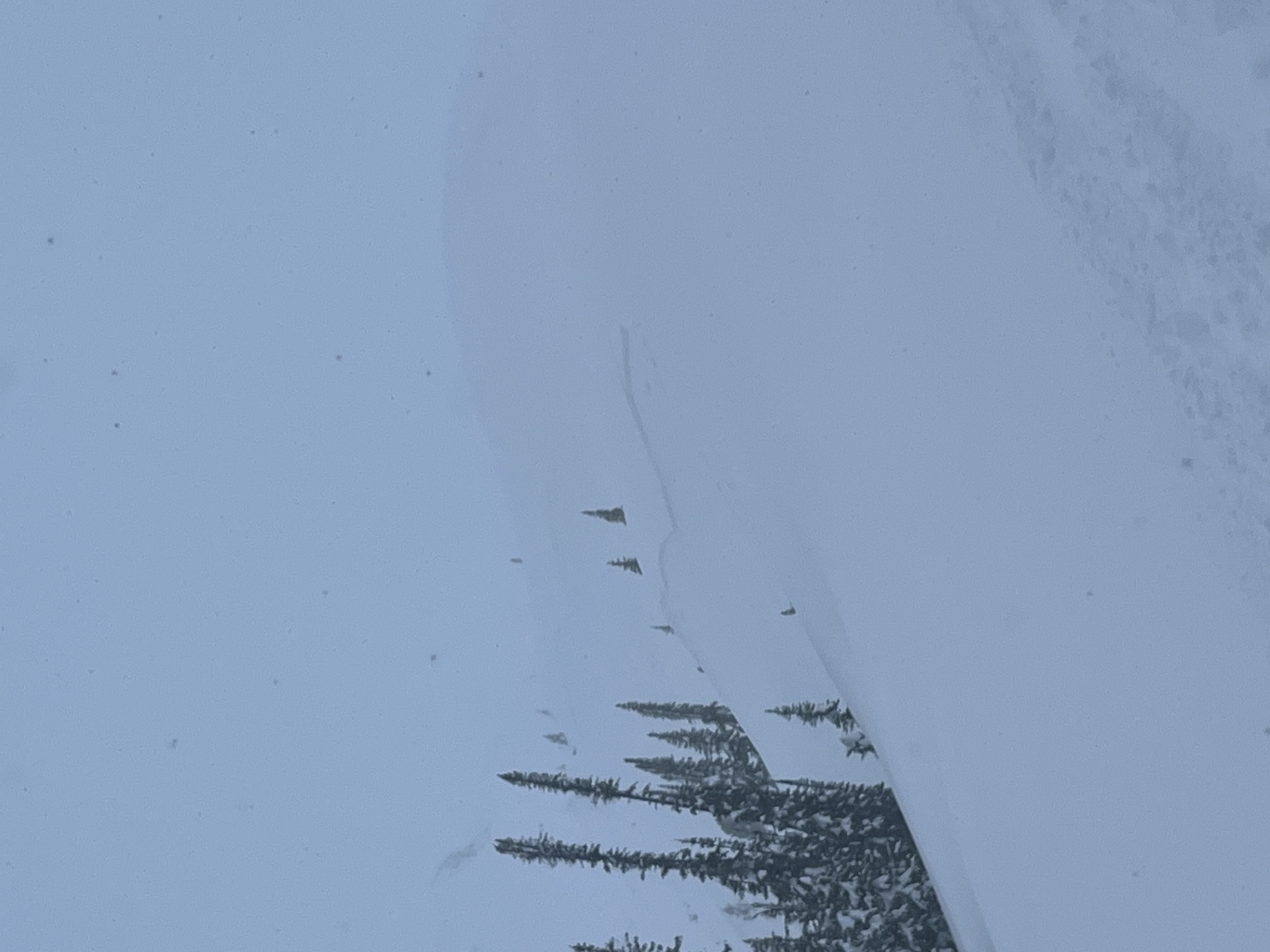 Observation photo