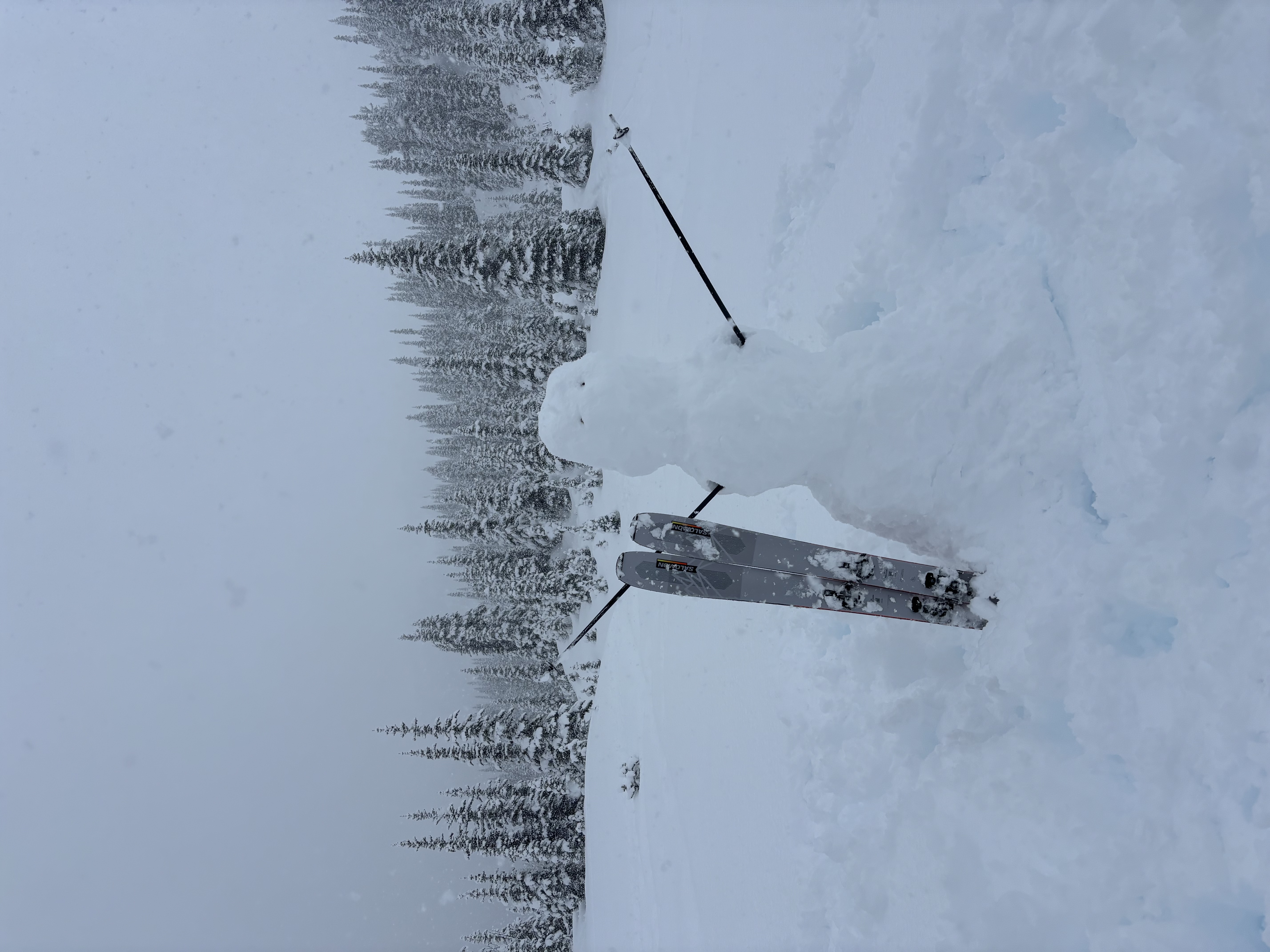 Observation photo