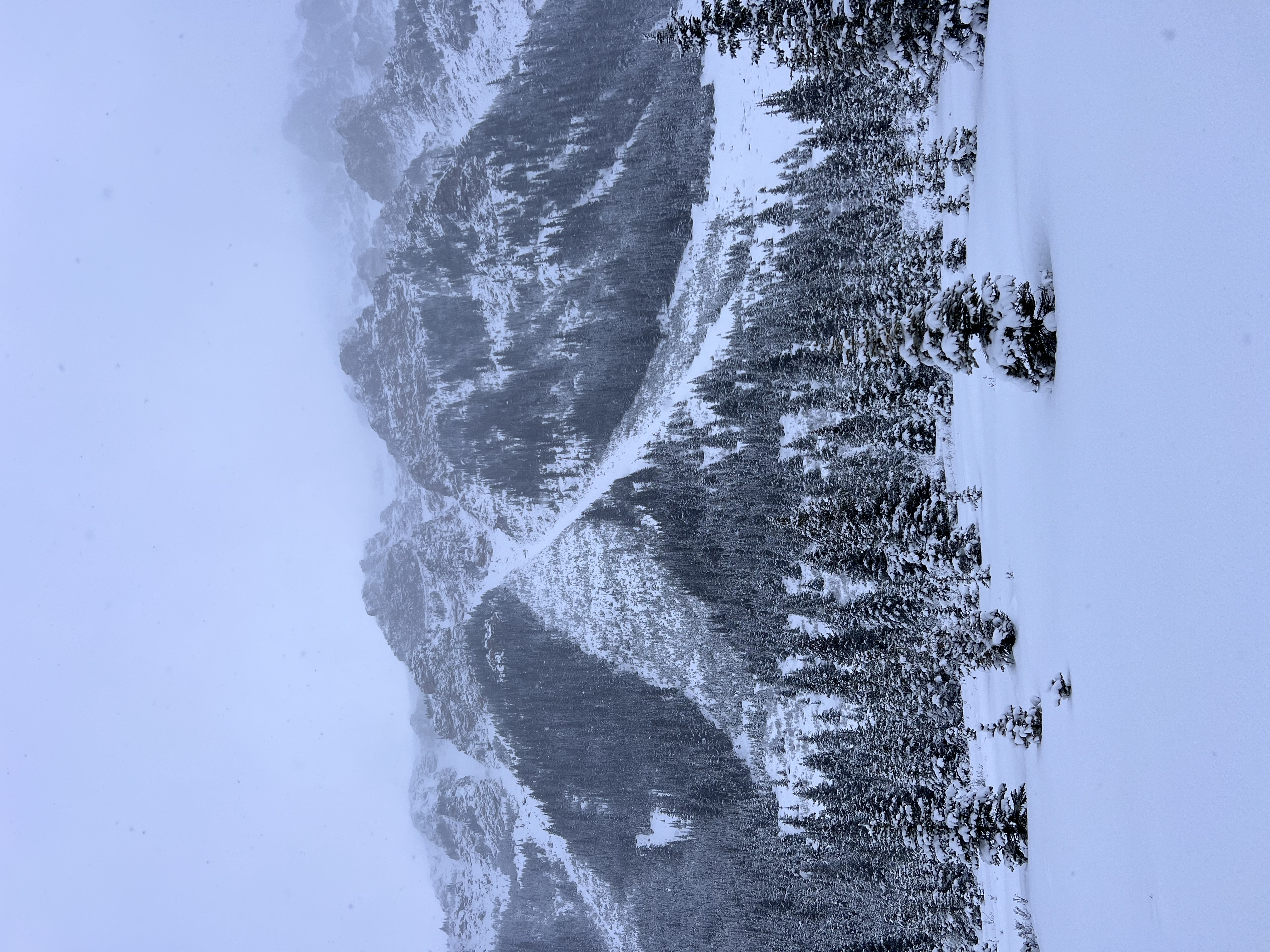 Observation photo