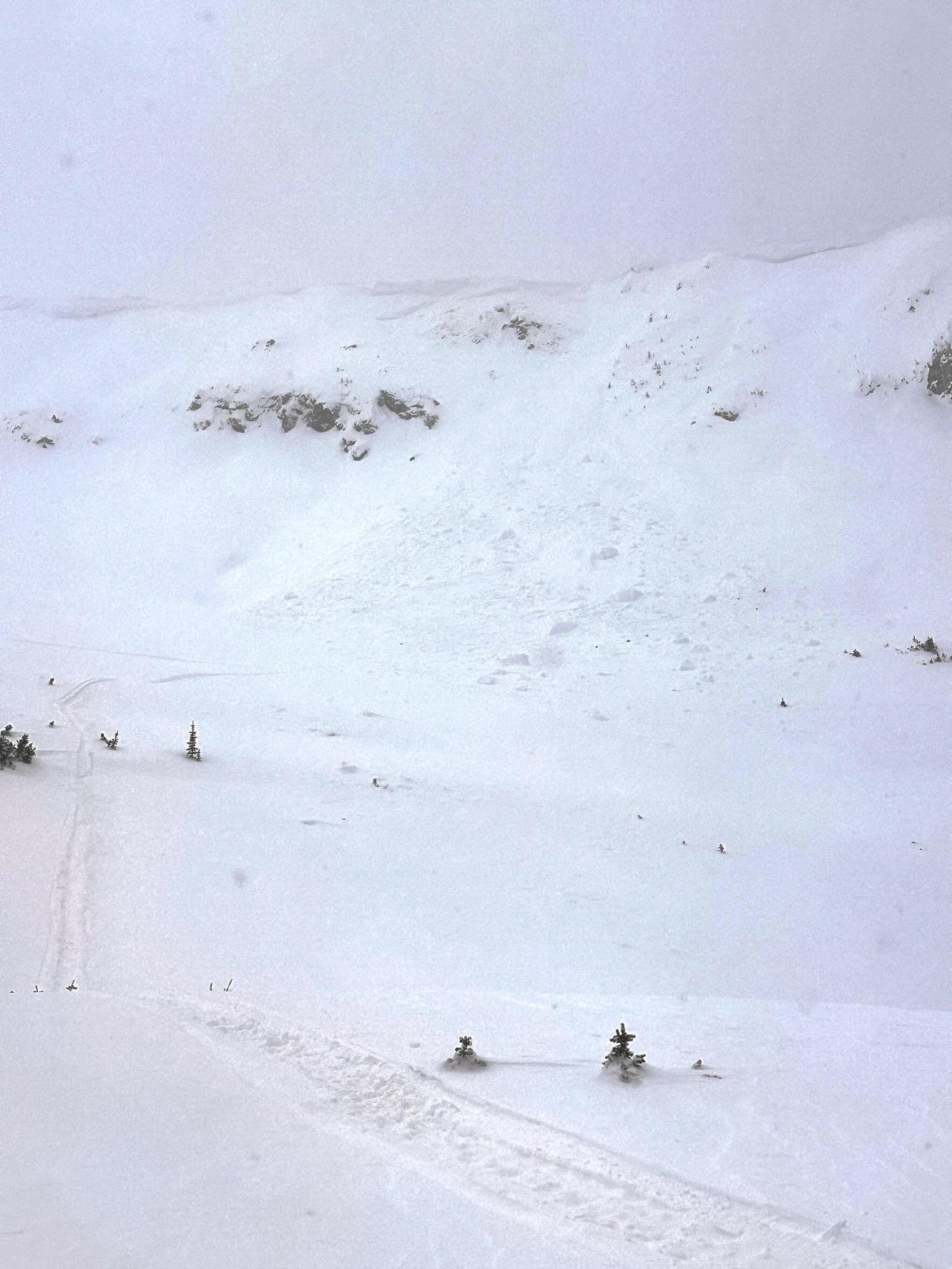 Observation photo