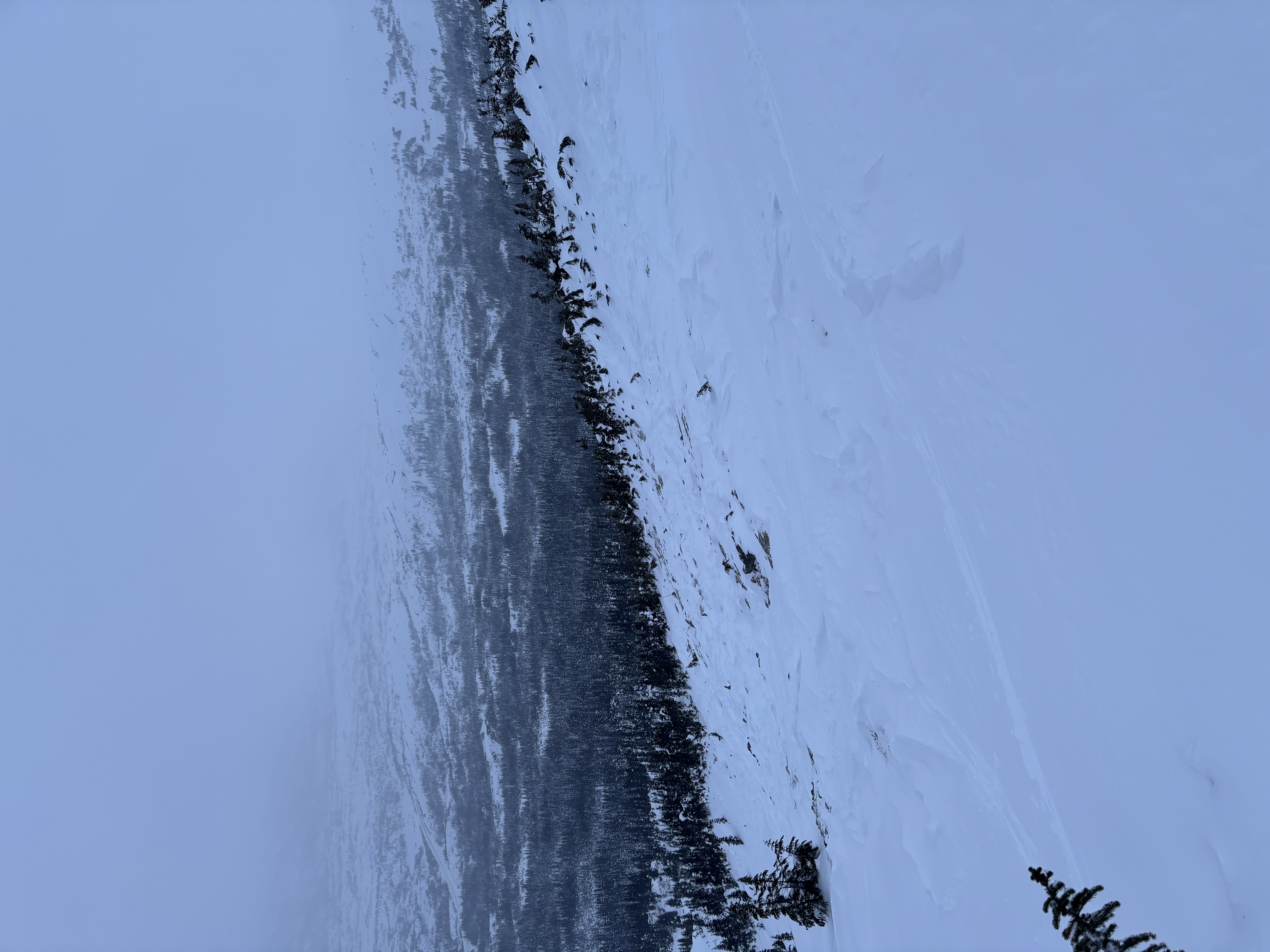 Observation photo