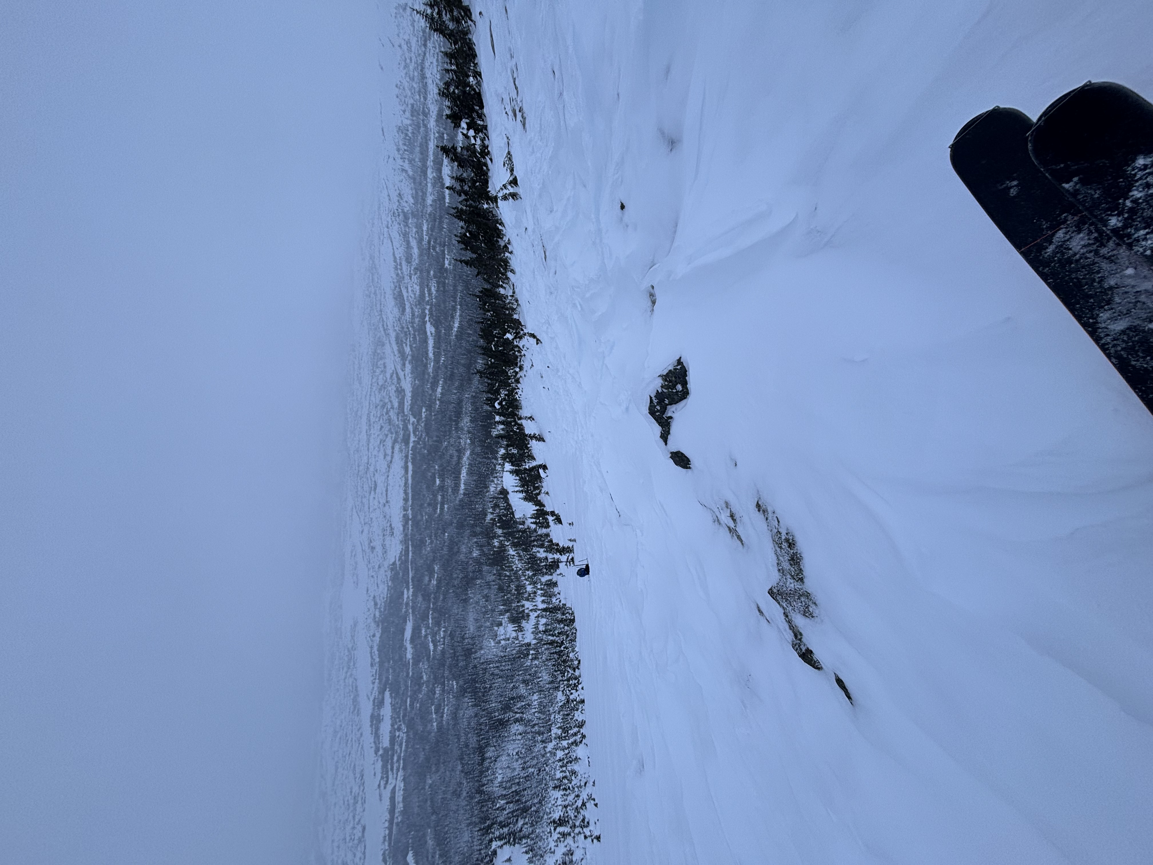 Observation photo