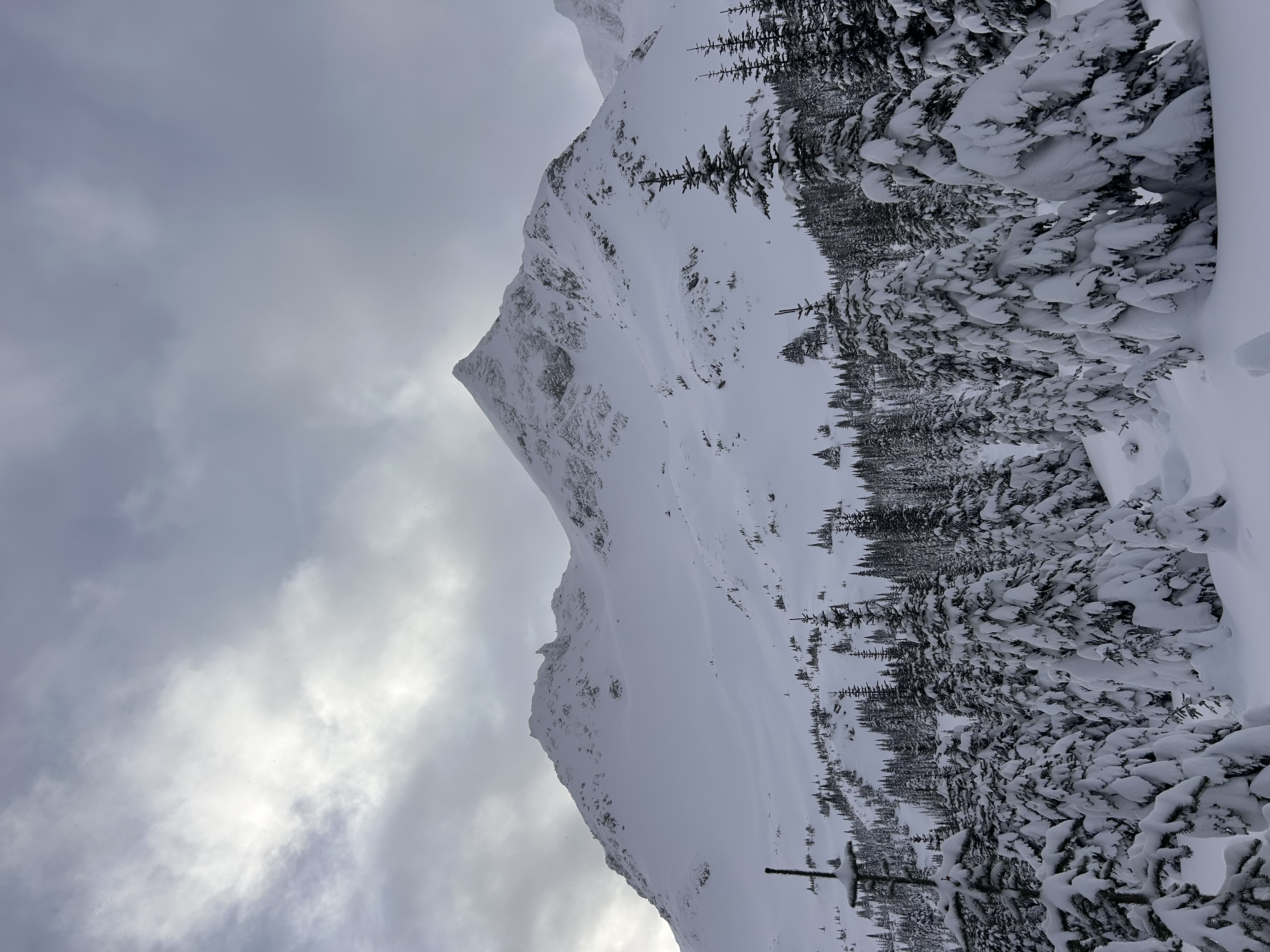 Observation photo