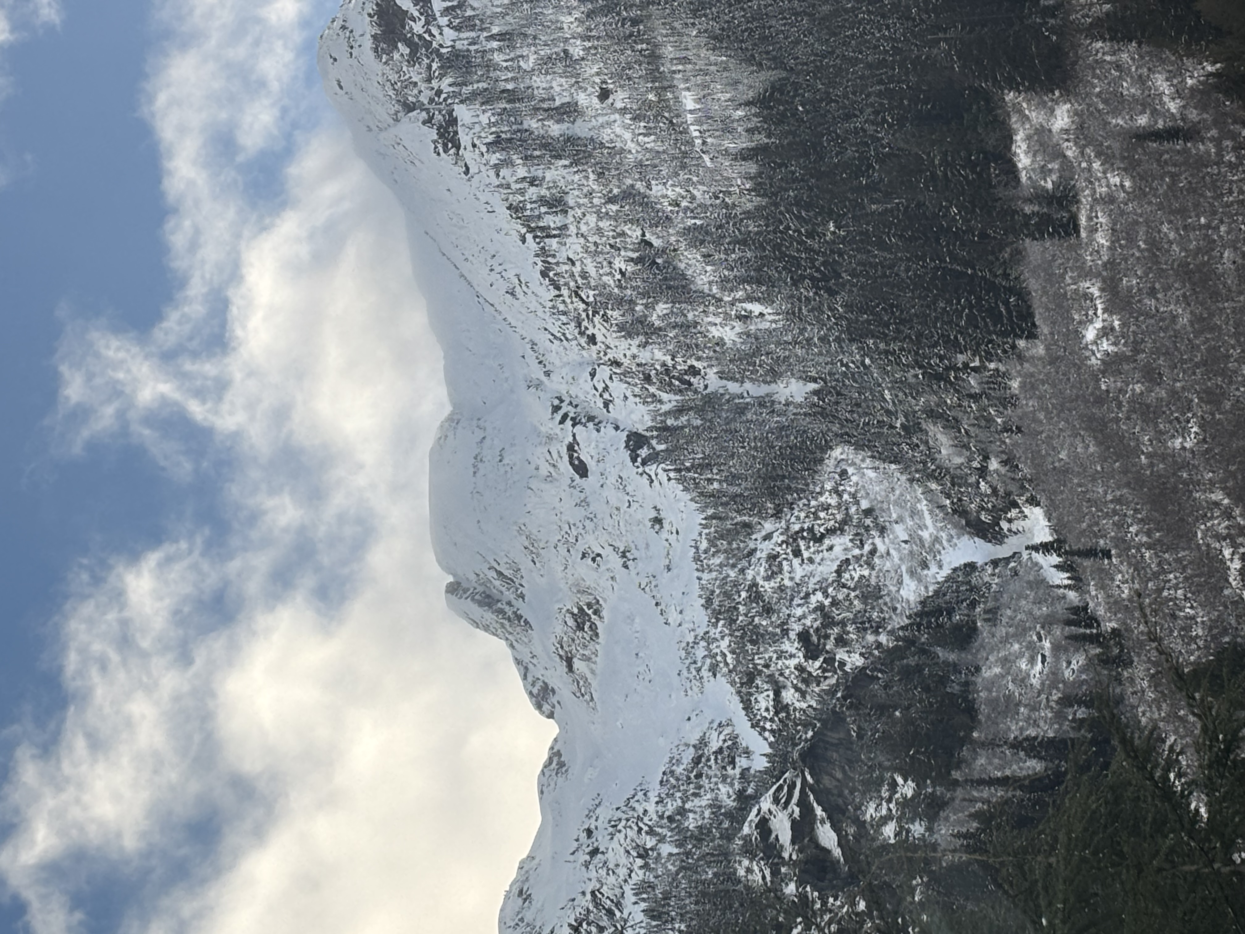 Observation photo