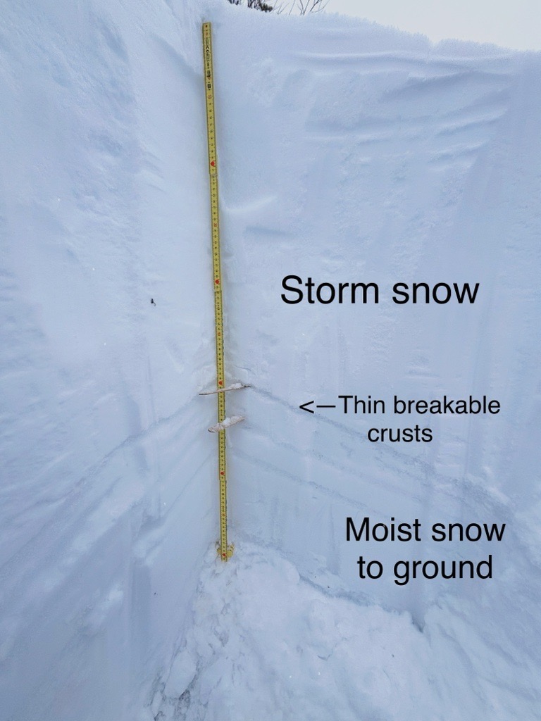 Observation photo