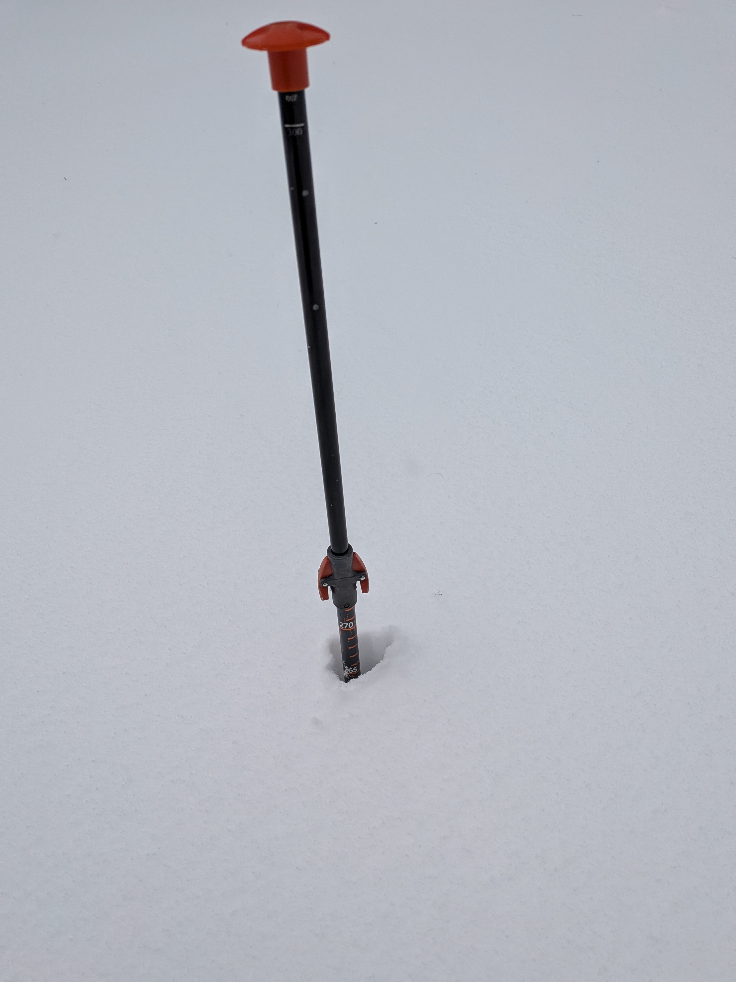 Observation photo