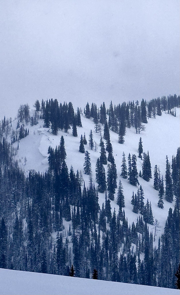 Observation photo
