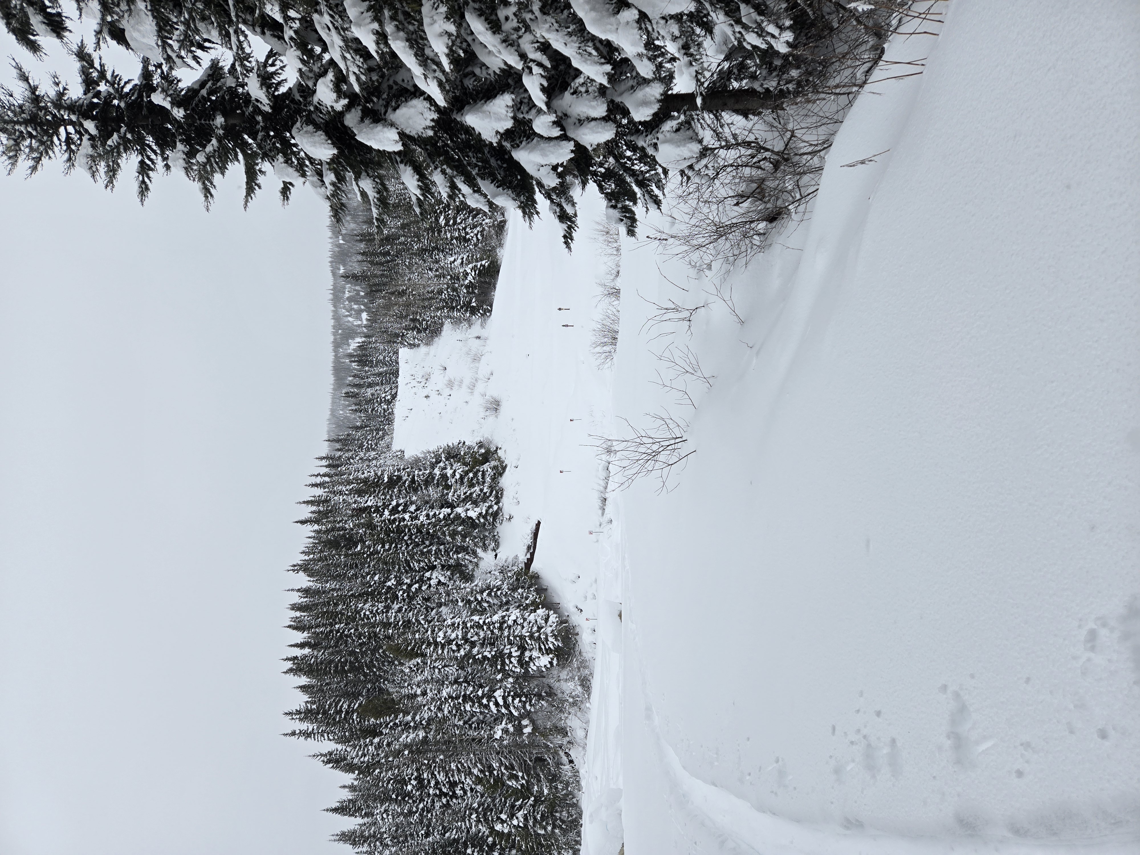 Observation photo