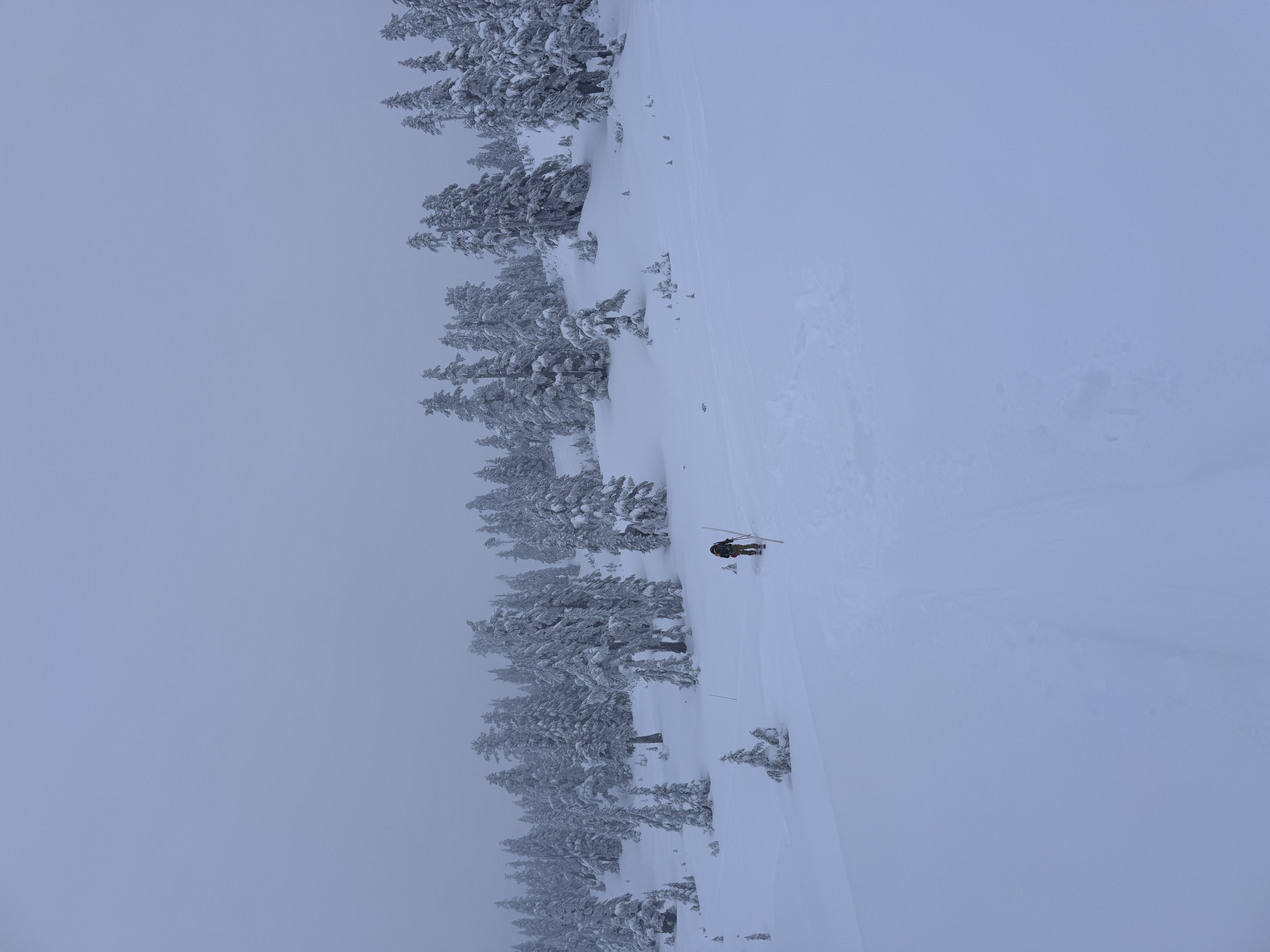 Observation photo