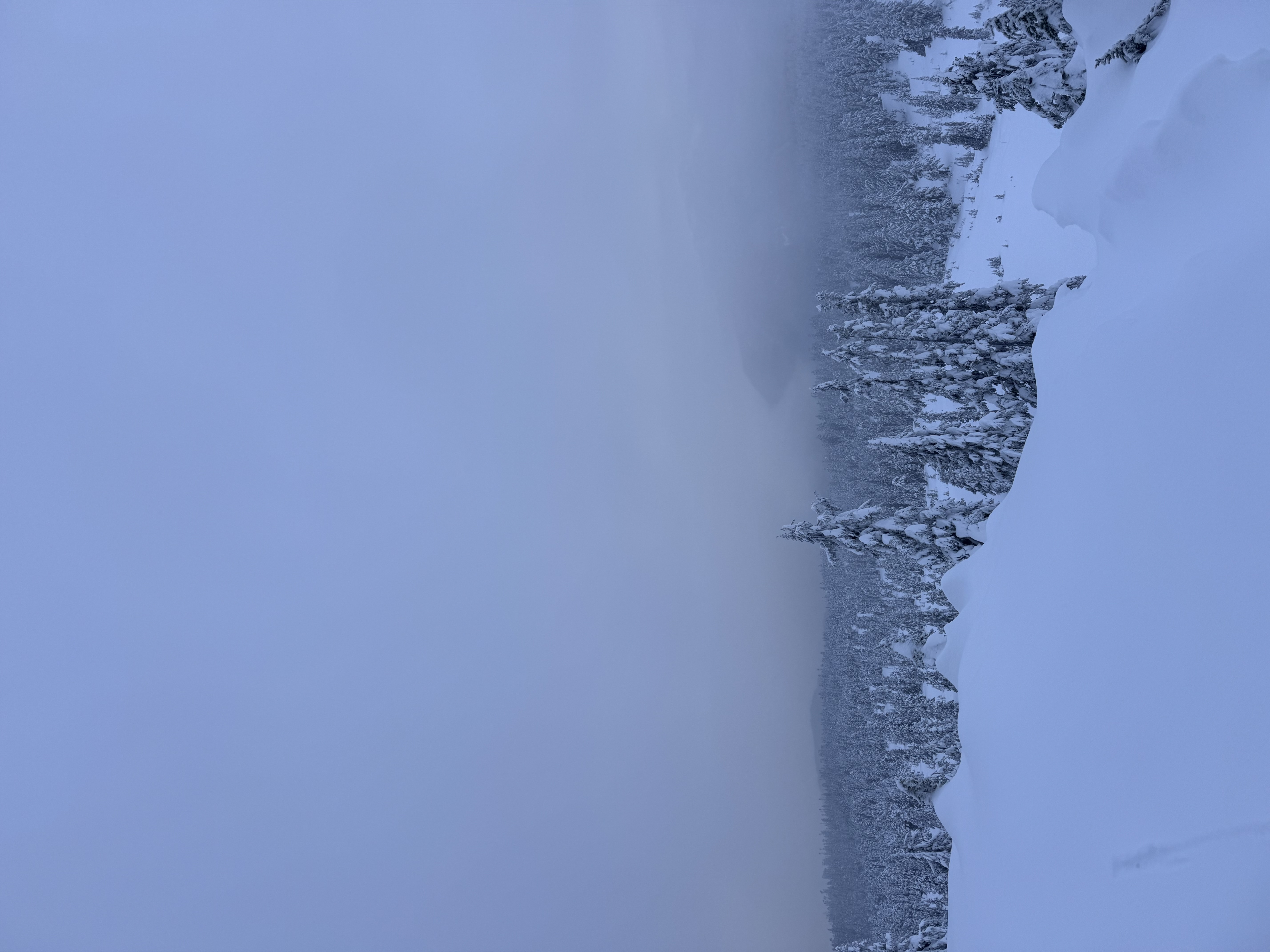 Observation photo