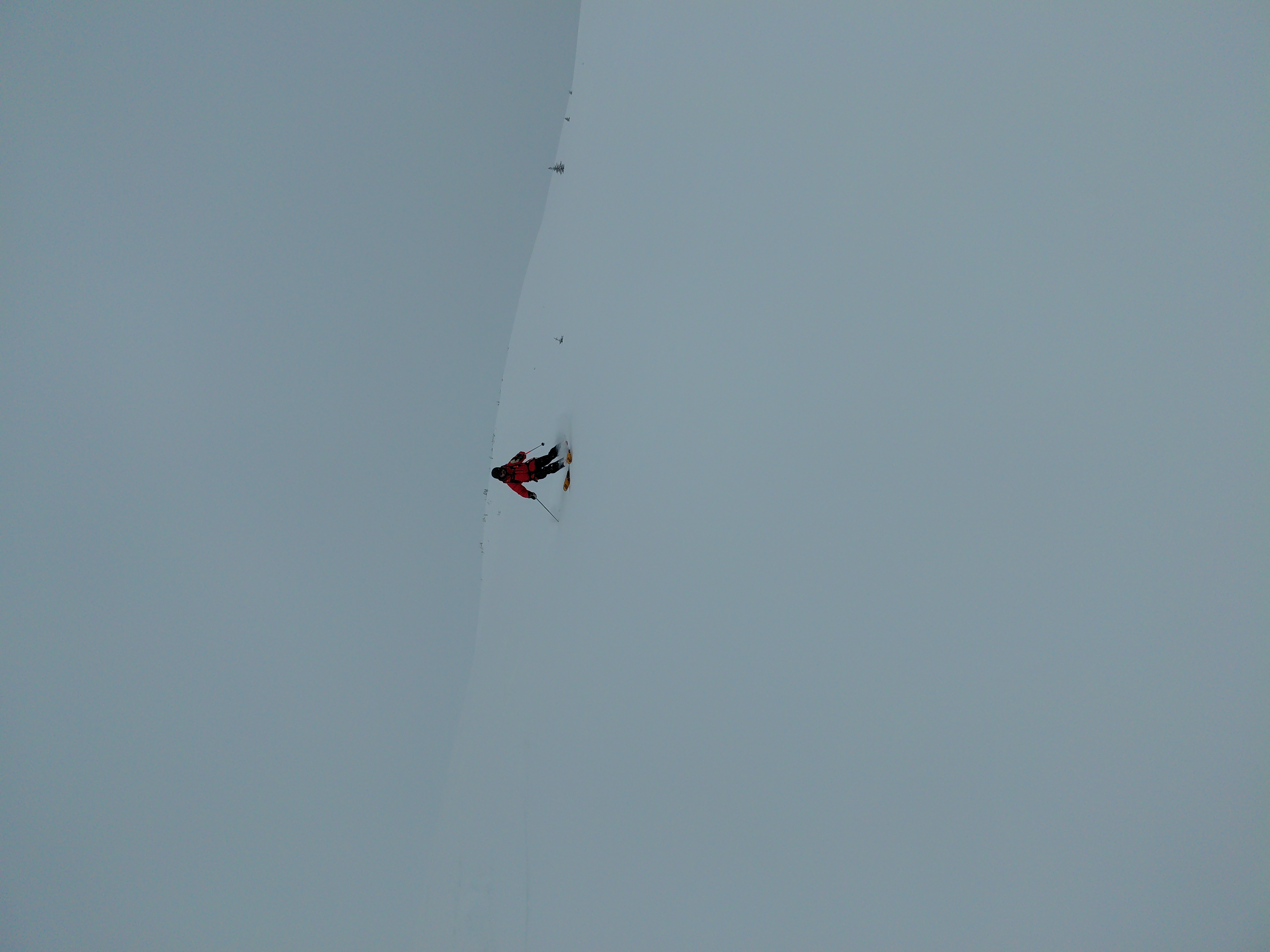 Observation photo