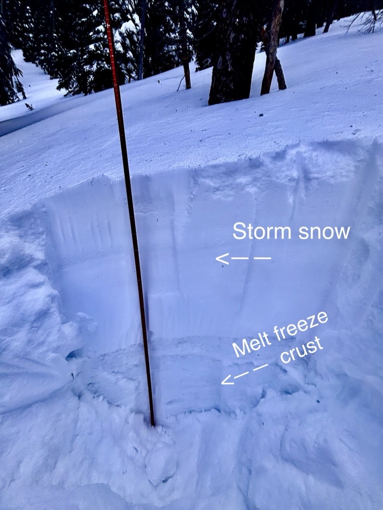 Observation photo