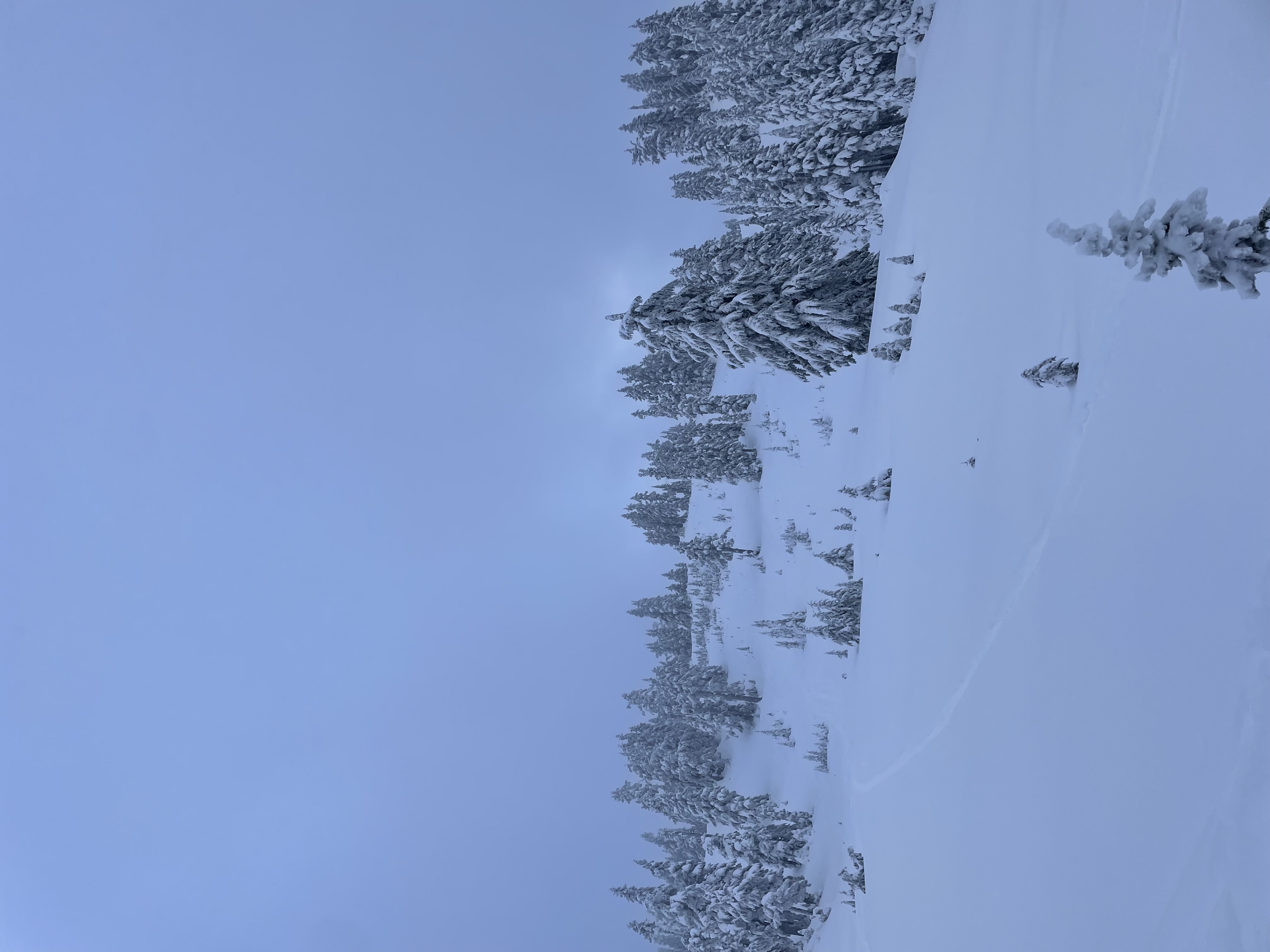 Observation photo