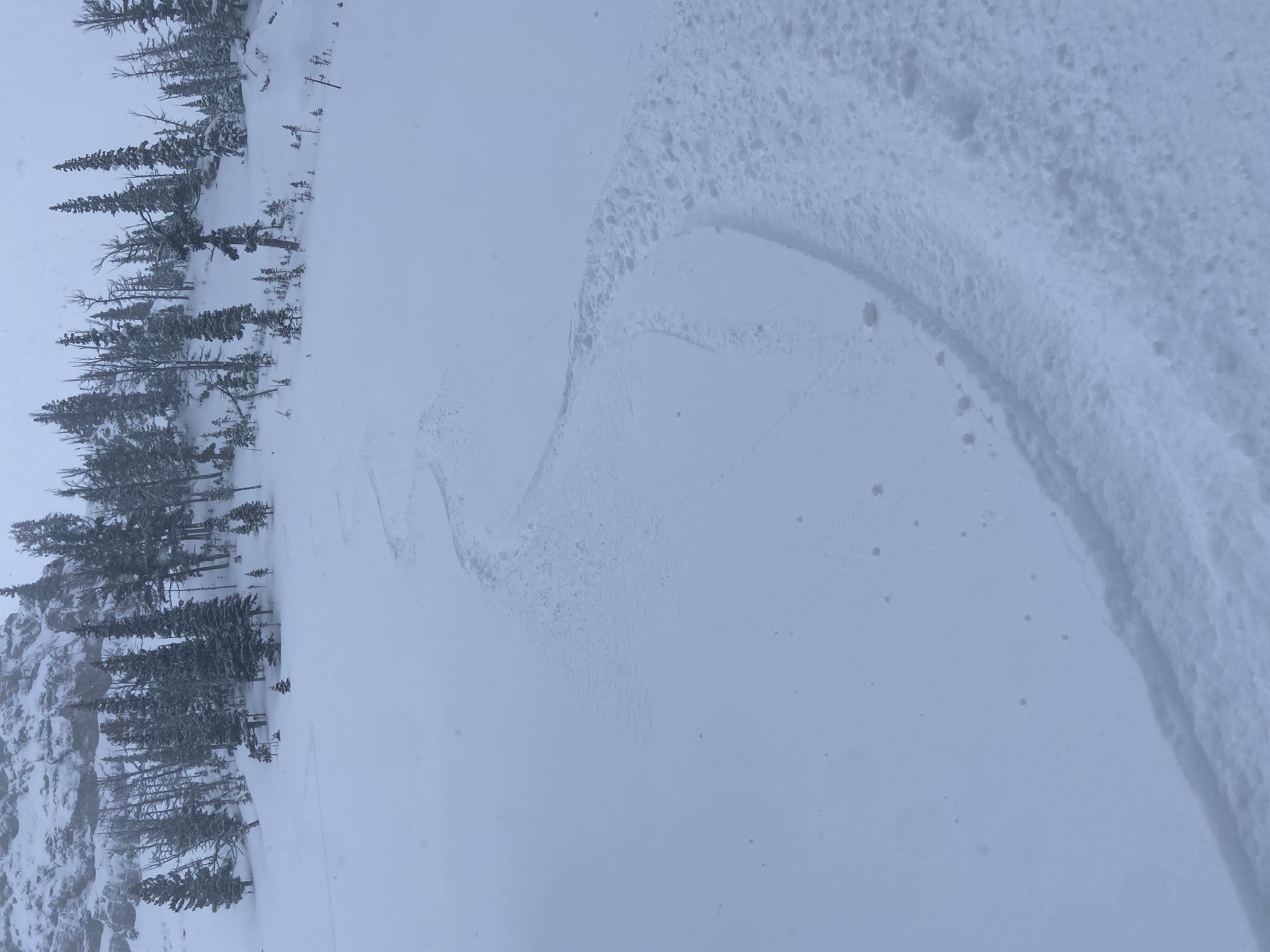 Observation photo
