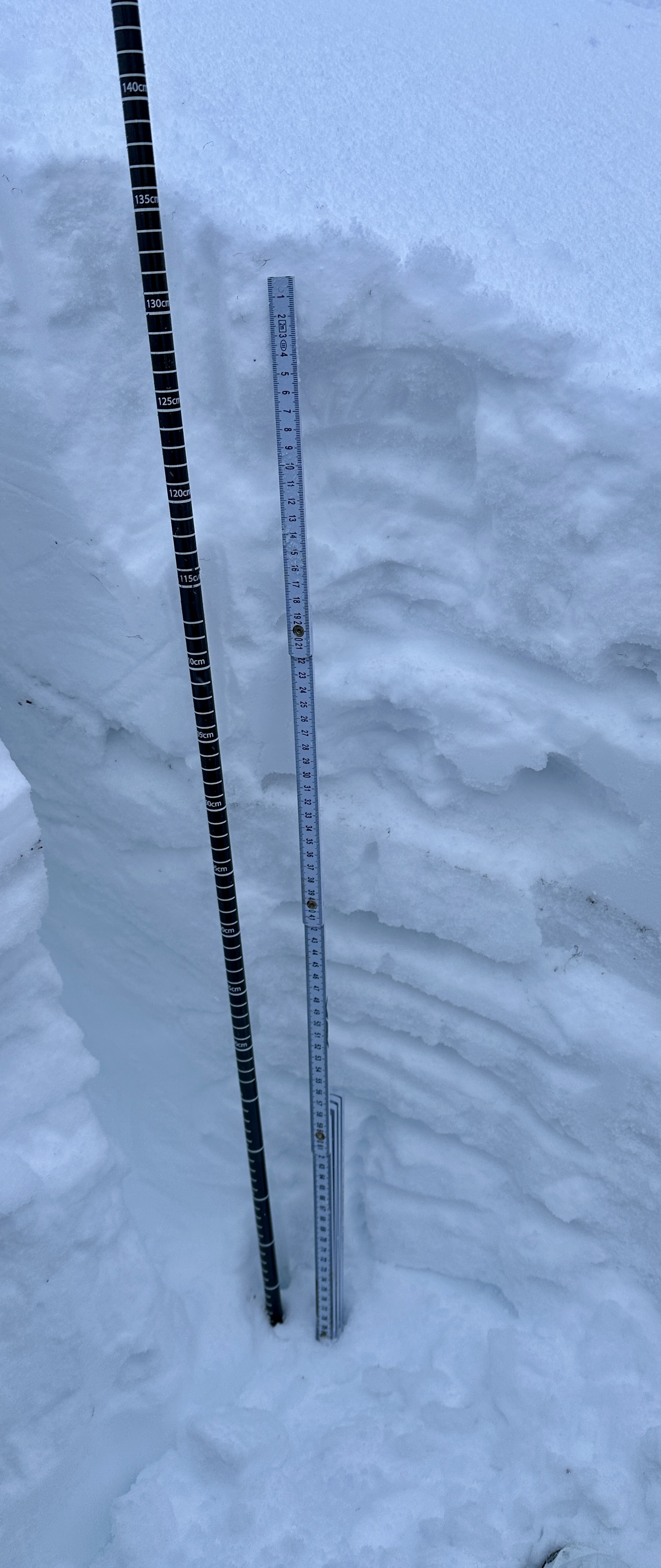 Observation photo