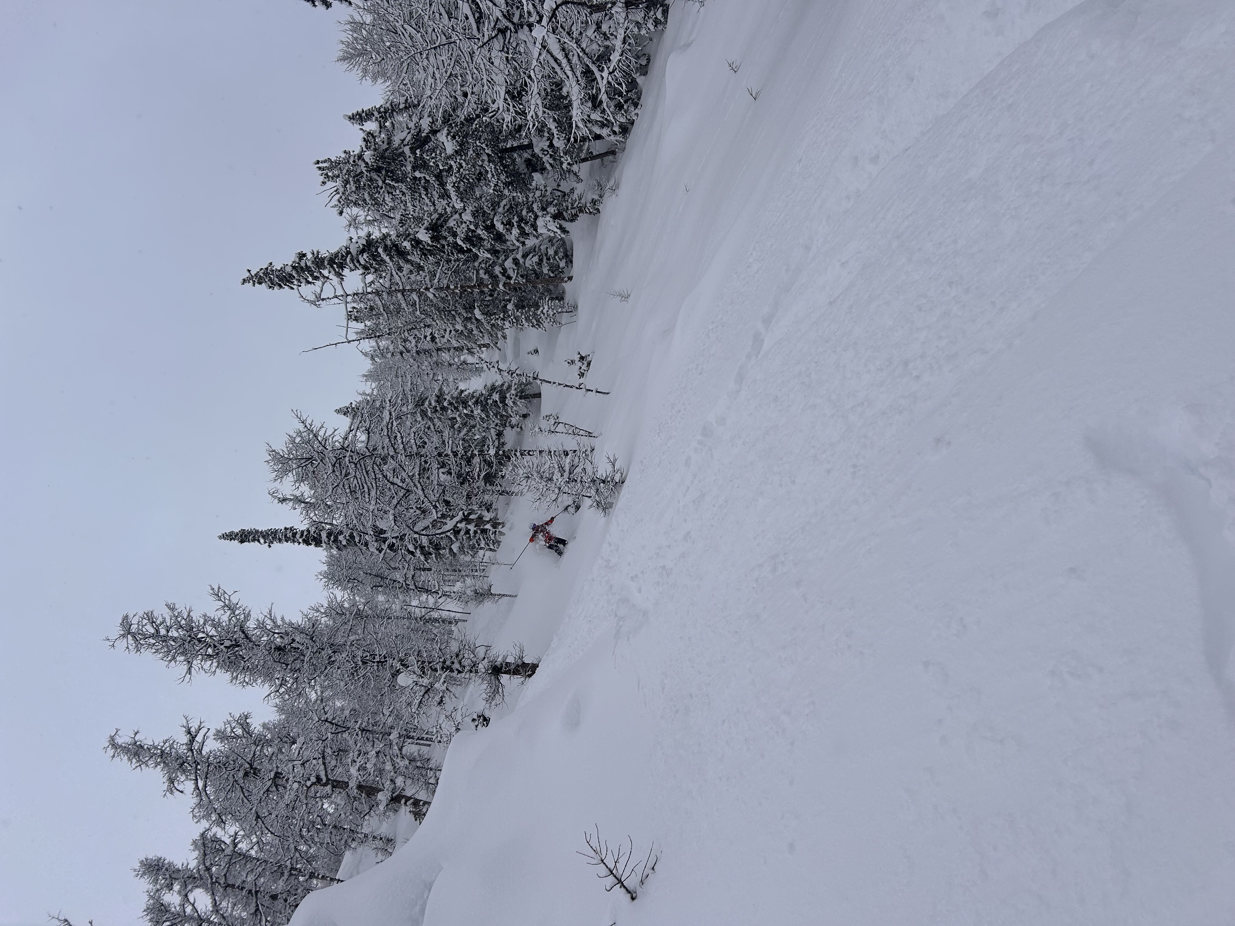 Observation photo