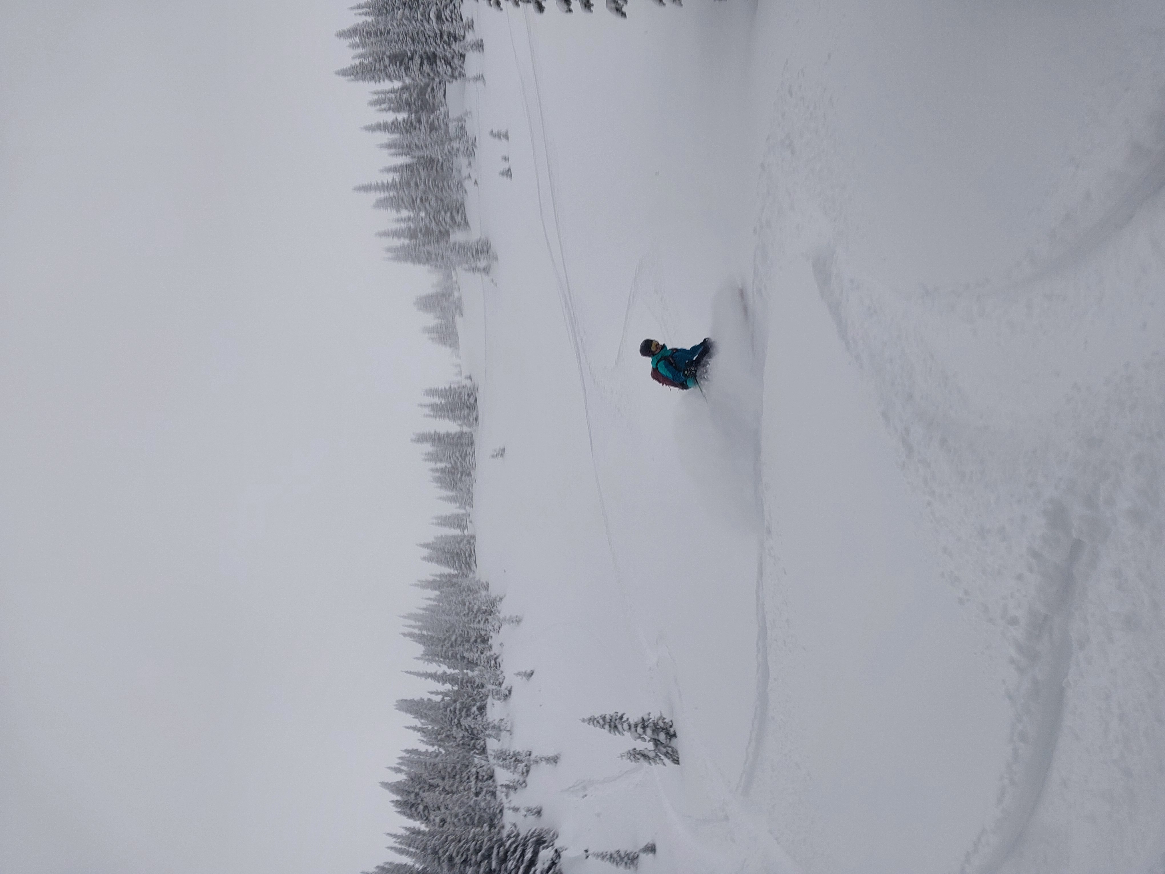 Observation photo
