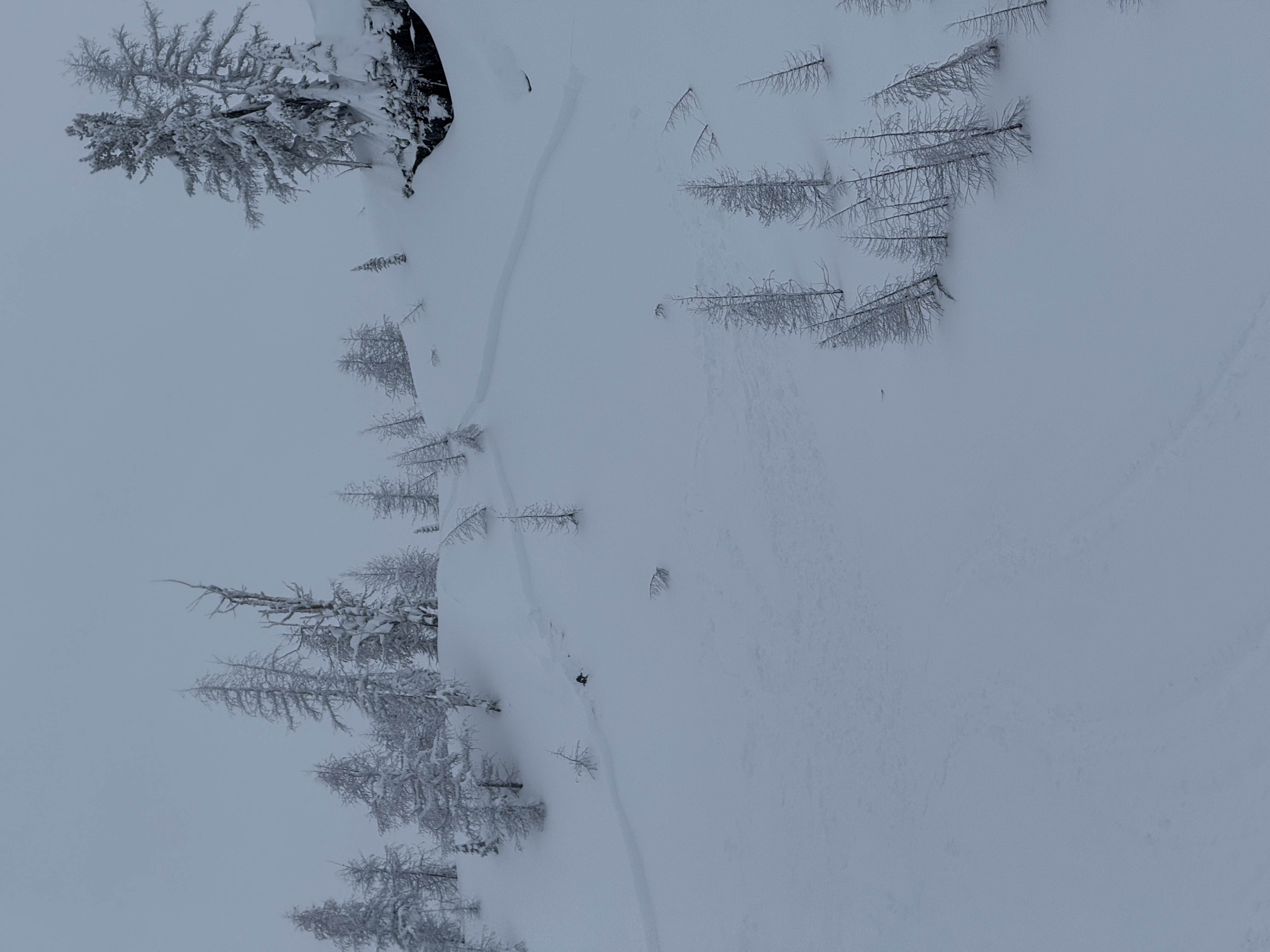 Observation photo