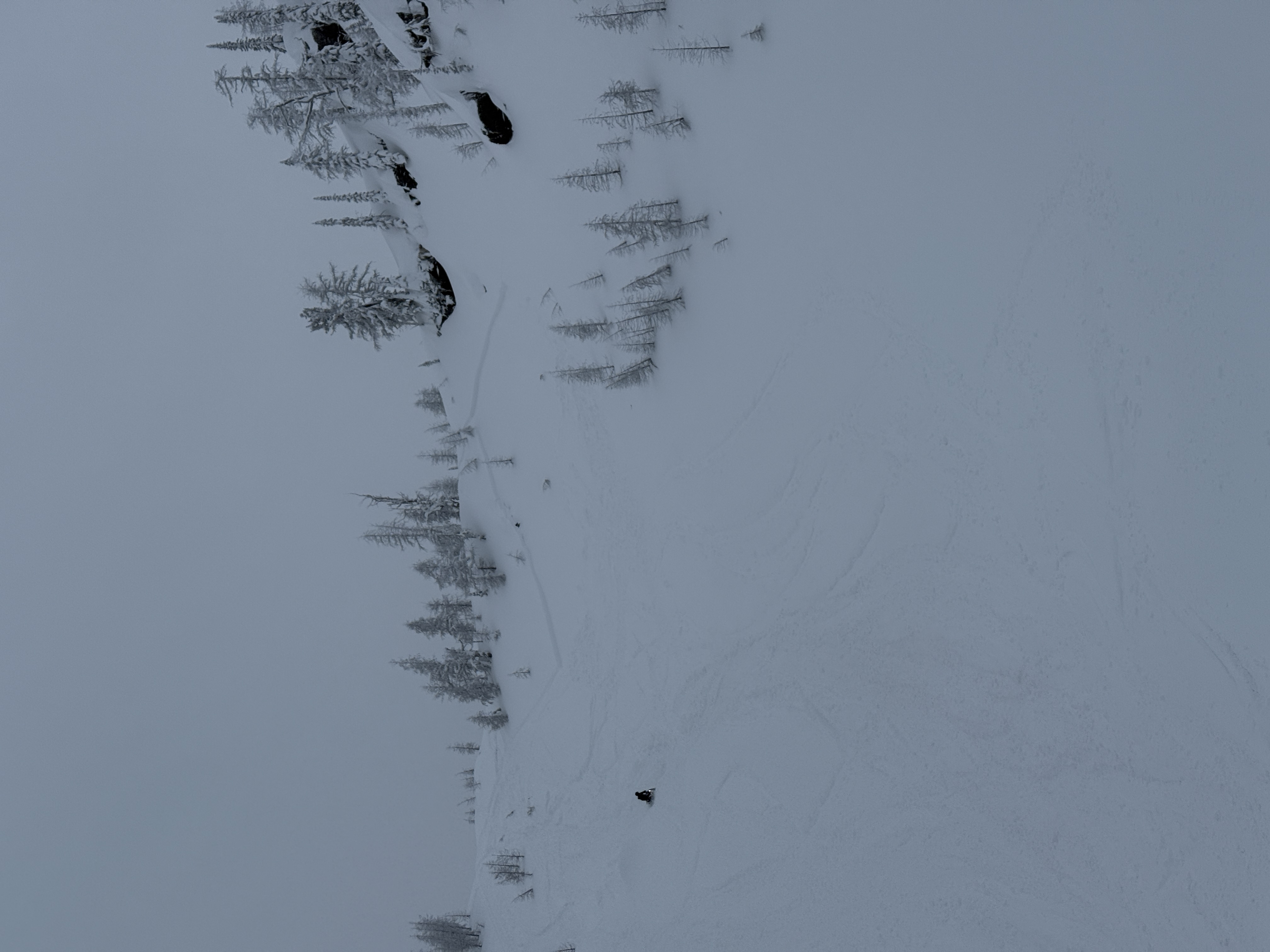 Observation photo