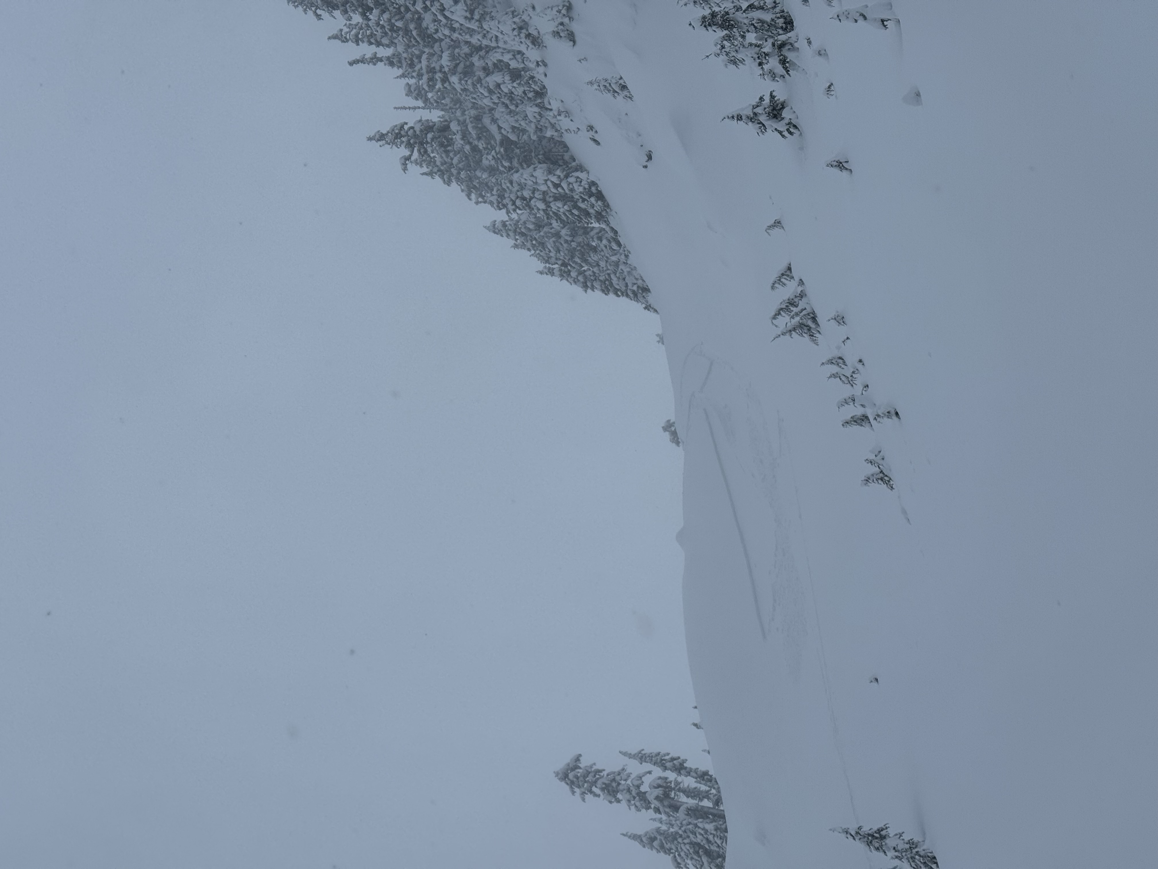 Observation photo