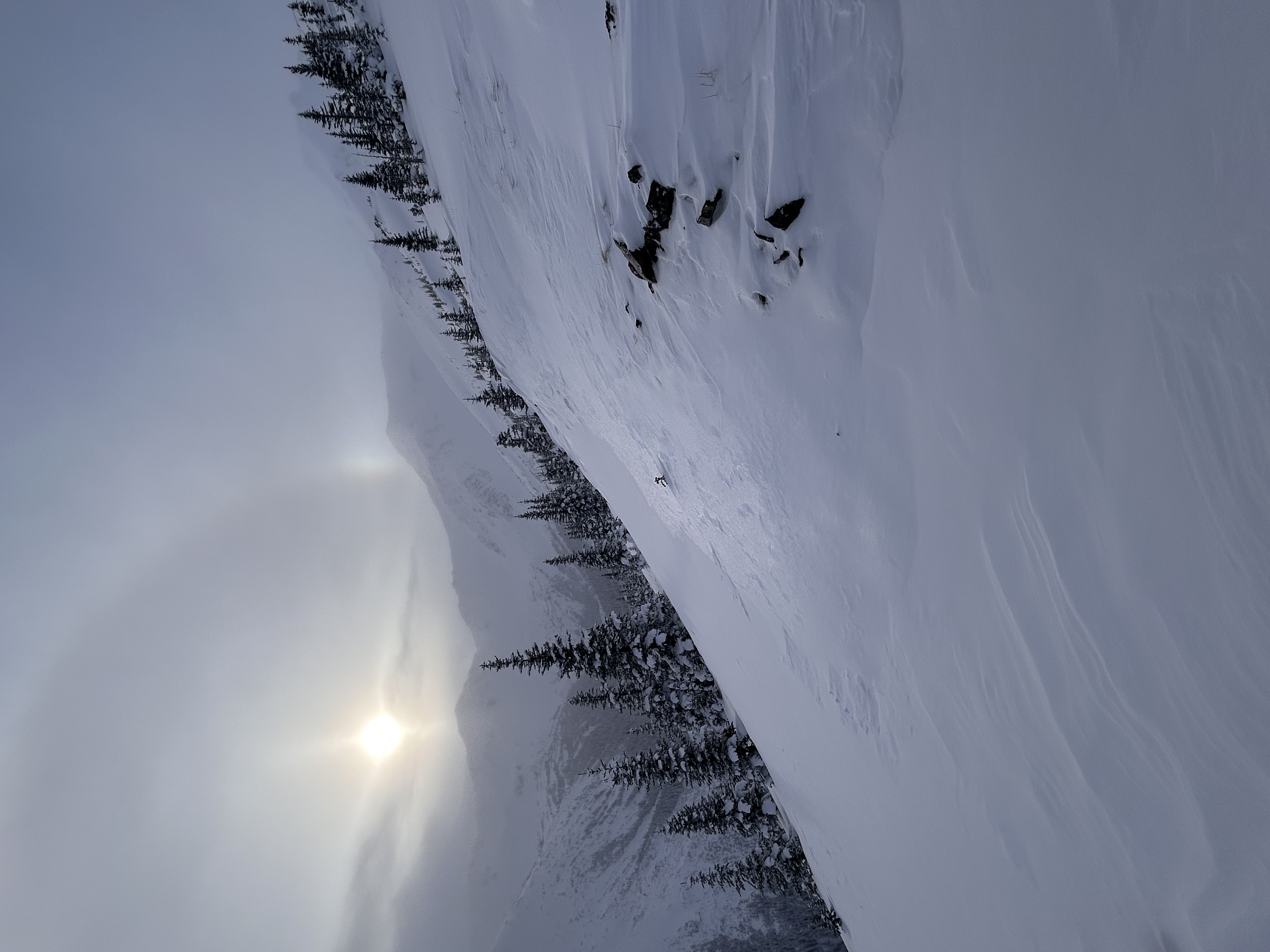 Observation photo