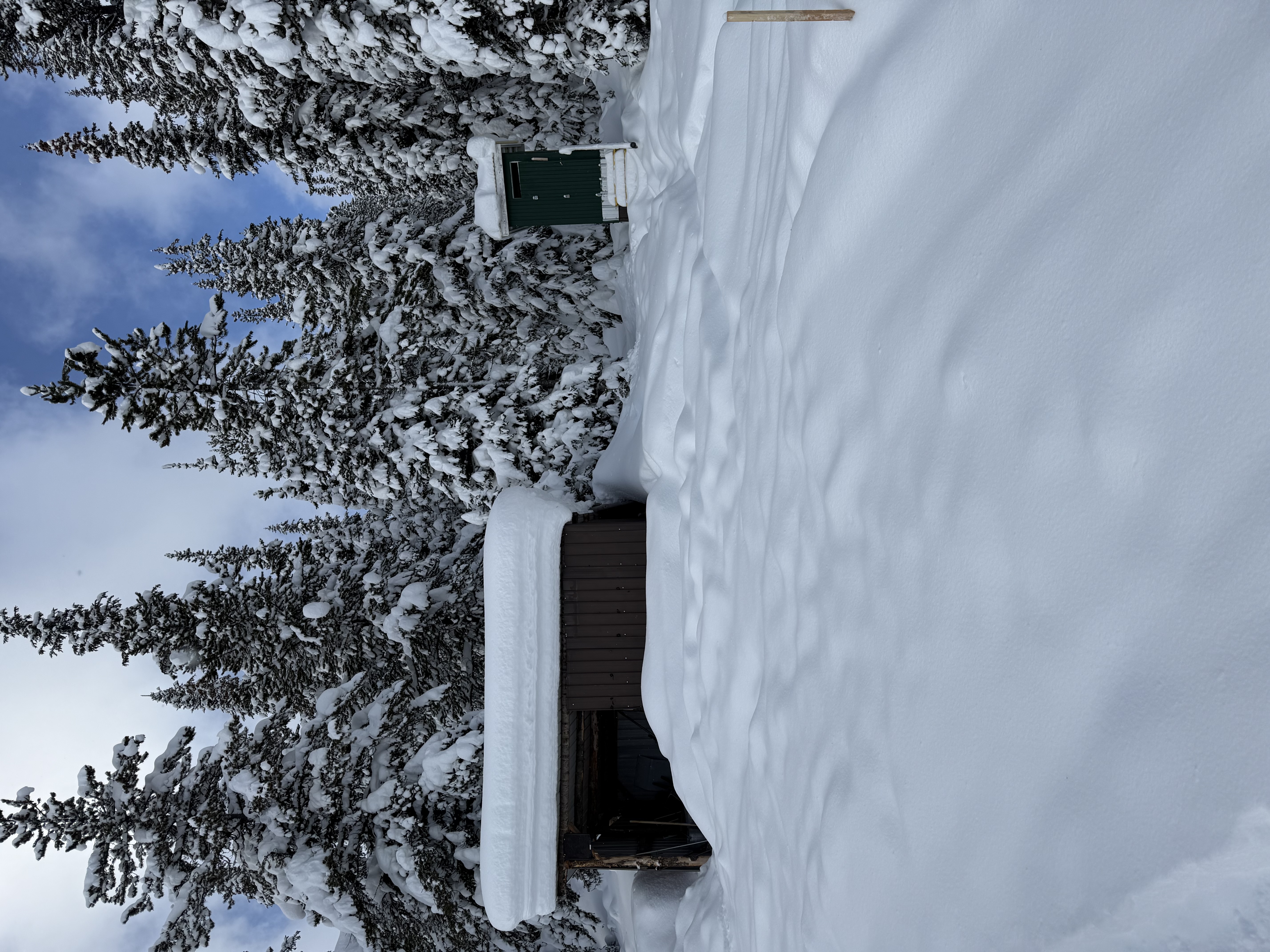 Observation photo