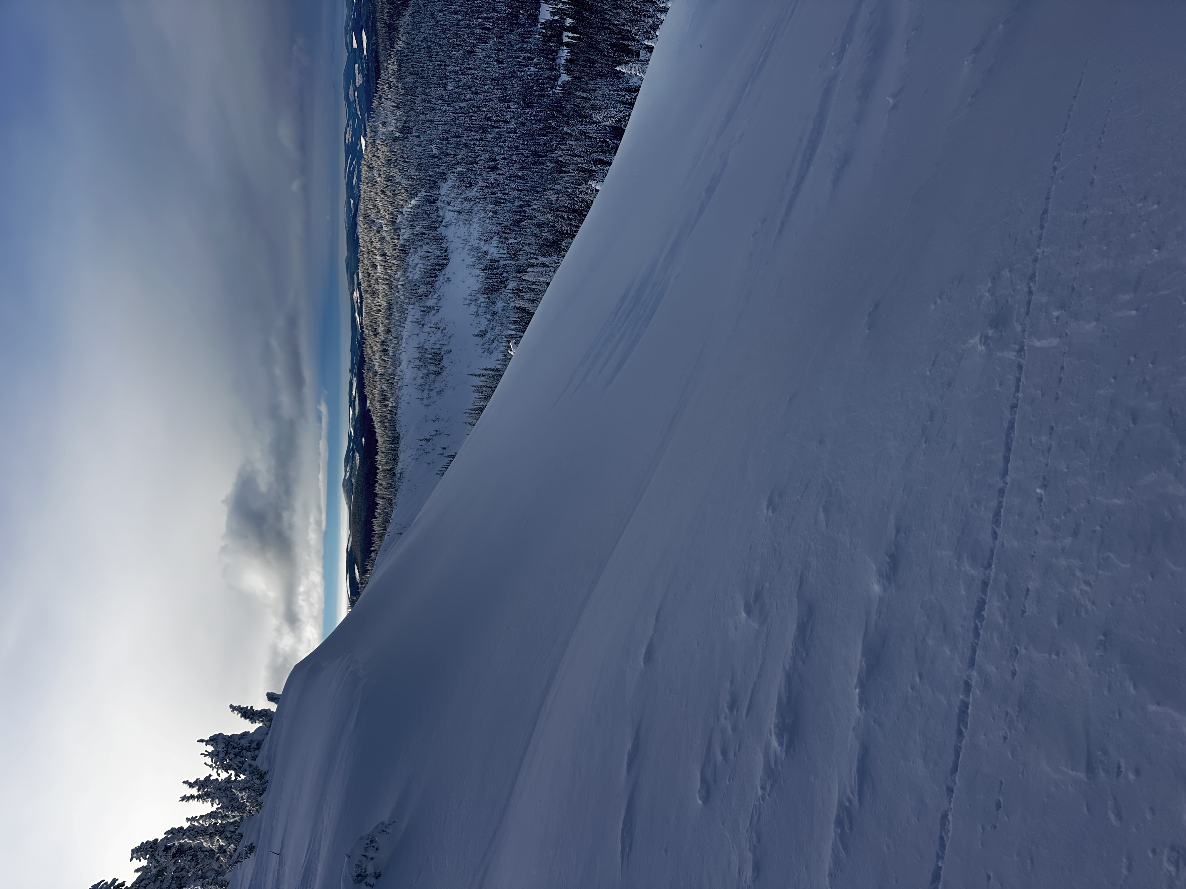 Observation photo