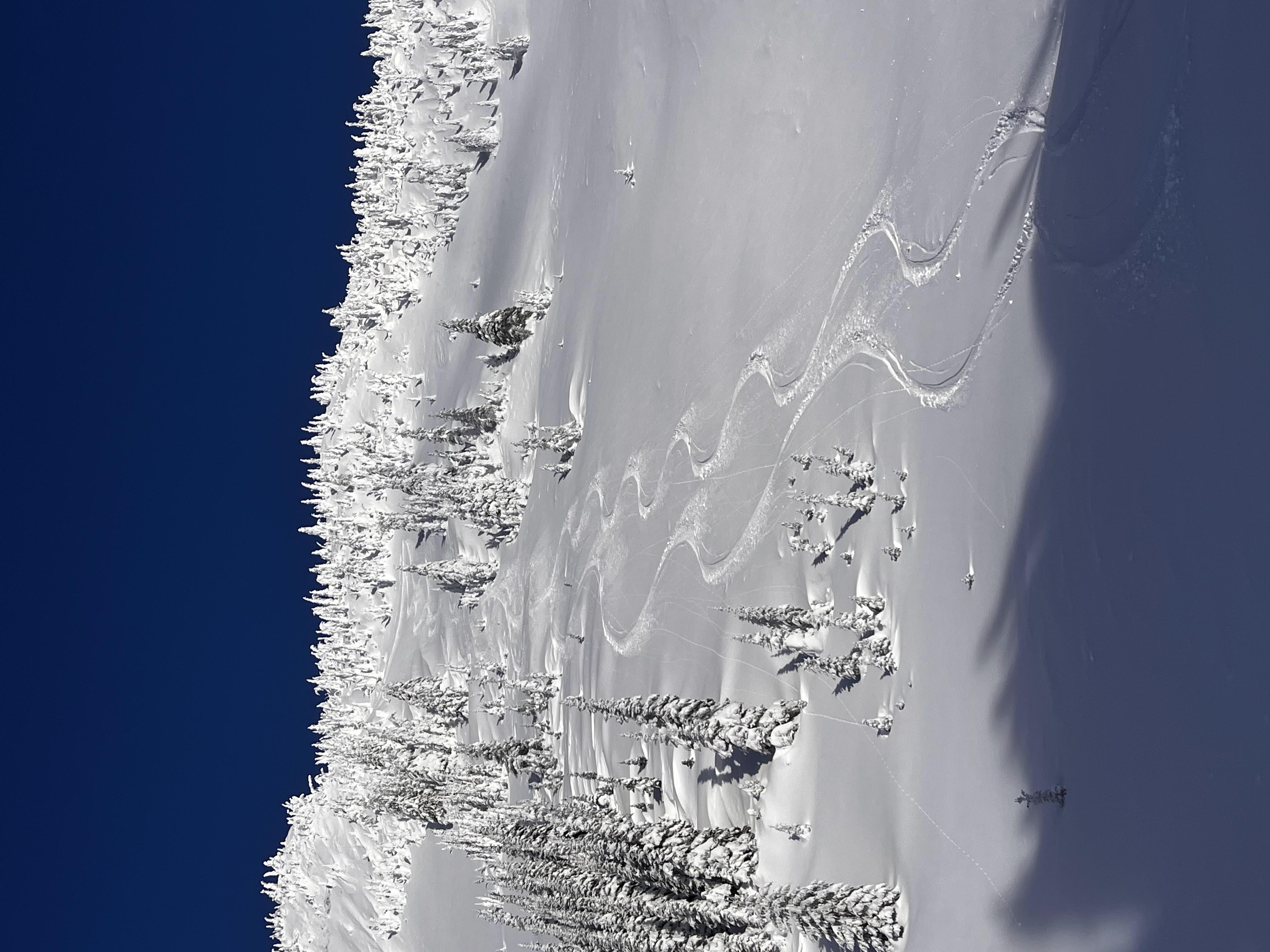 Observation photo