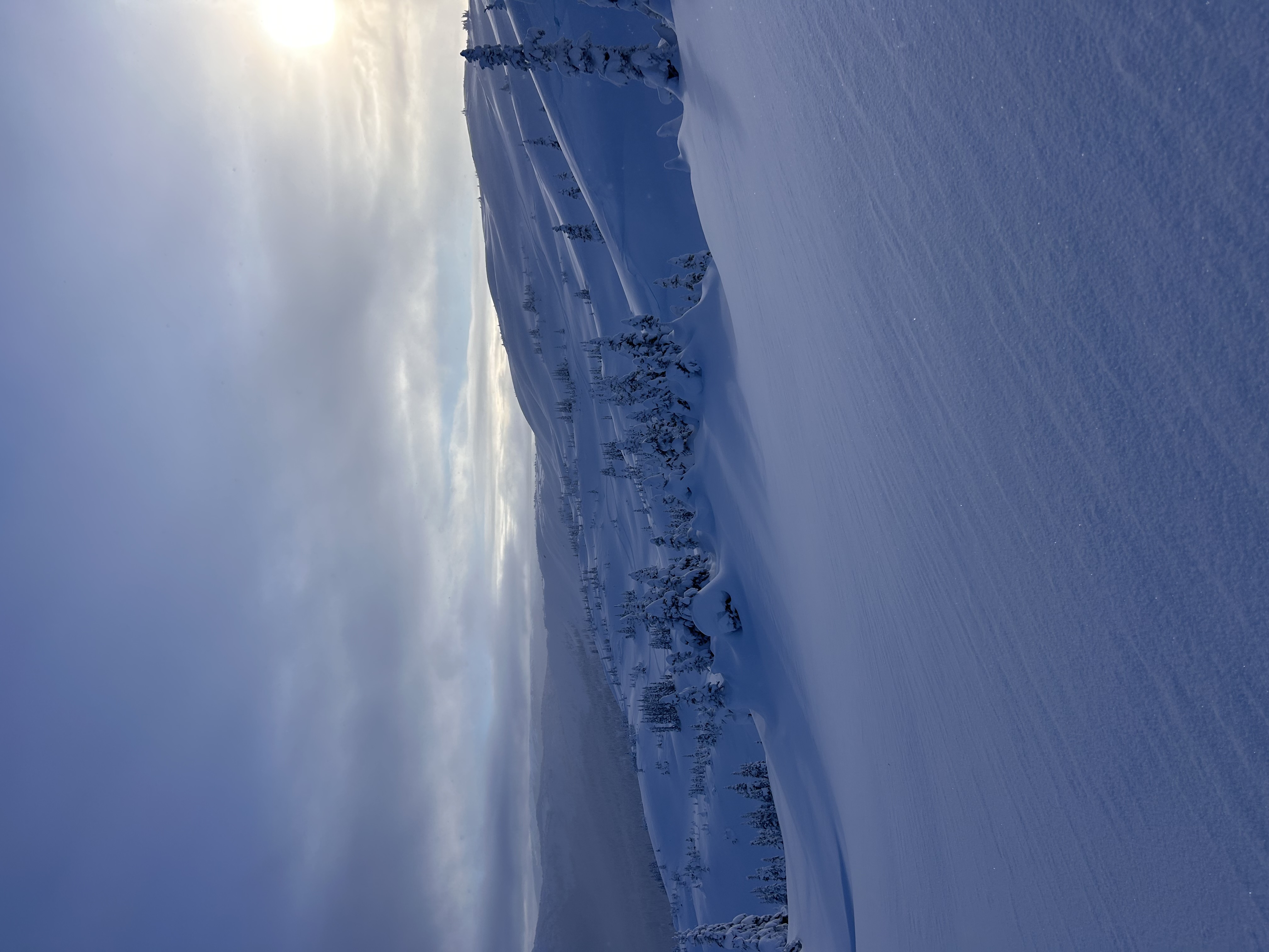 Observation photo