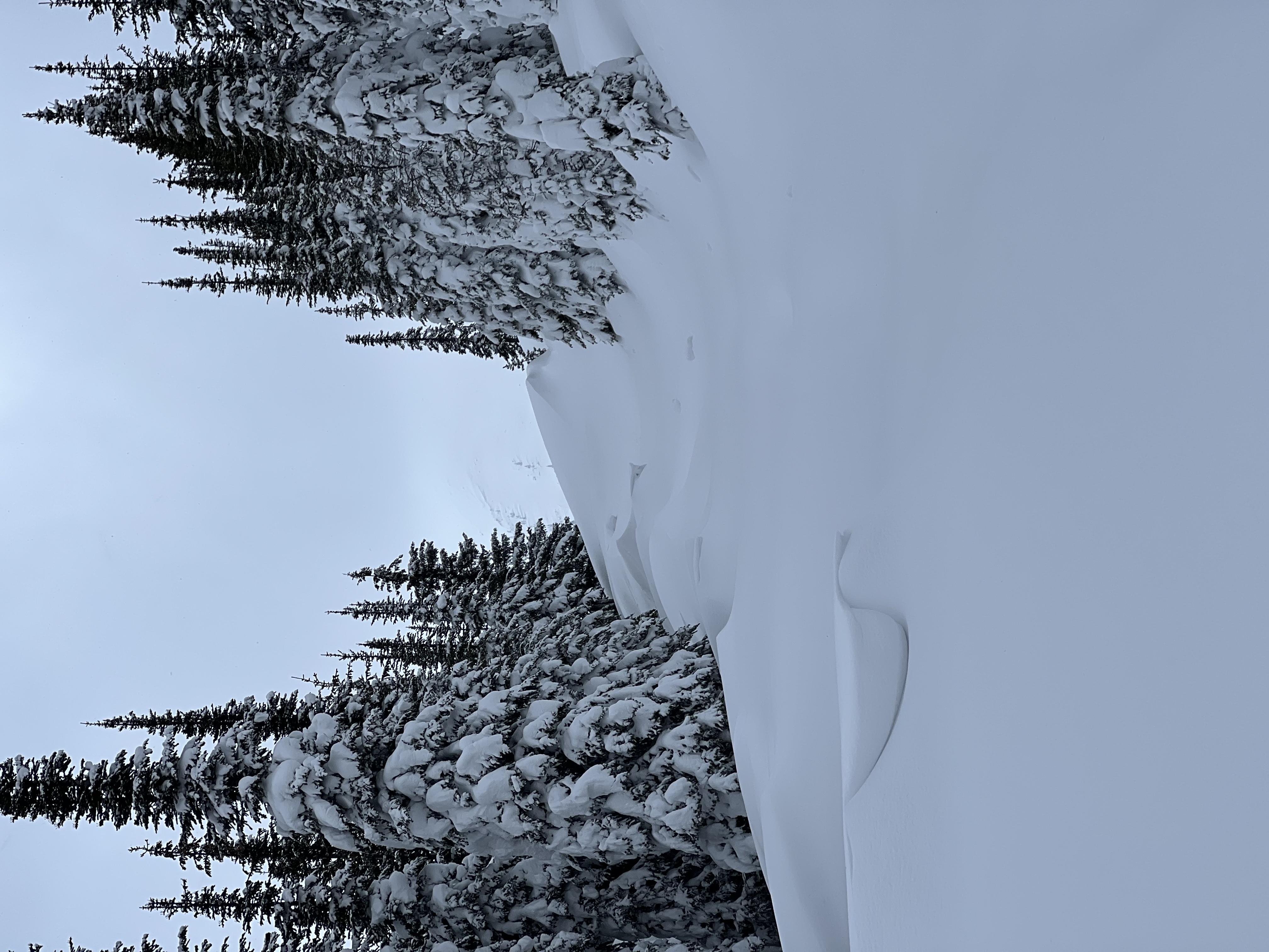 Observation photo