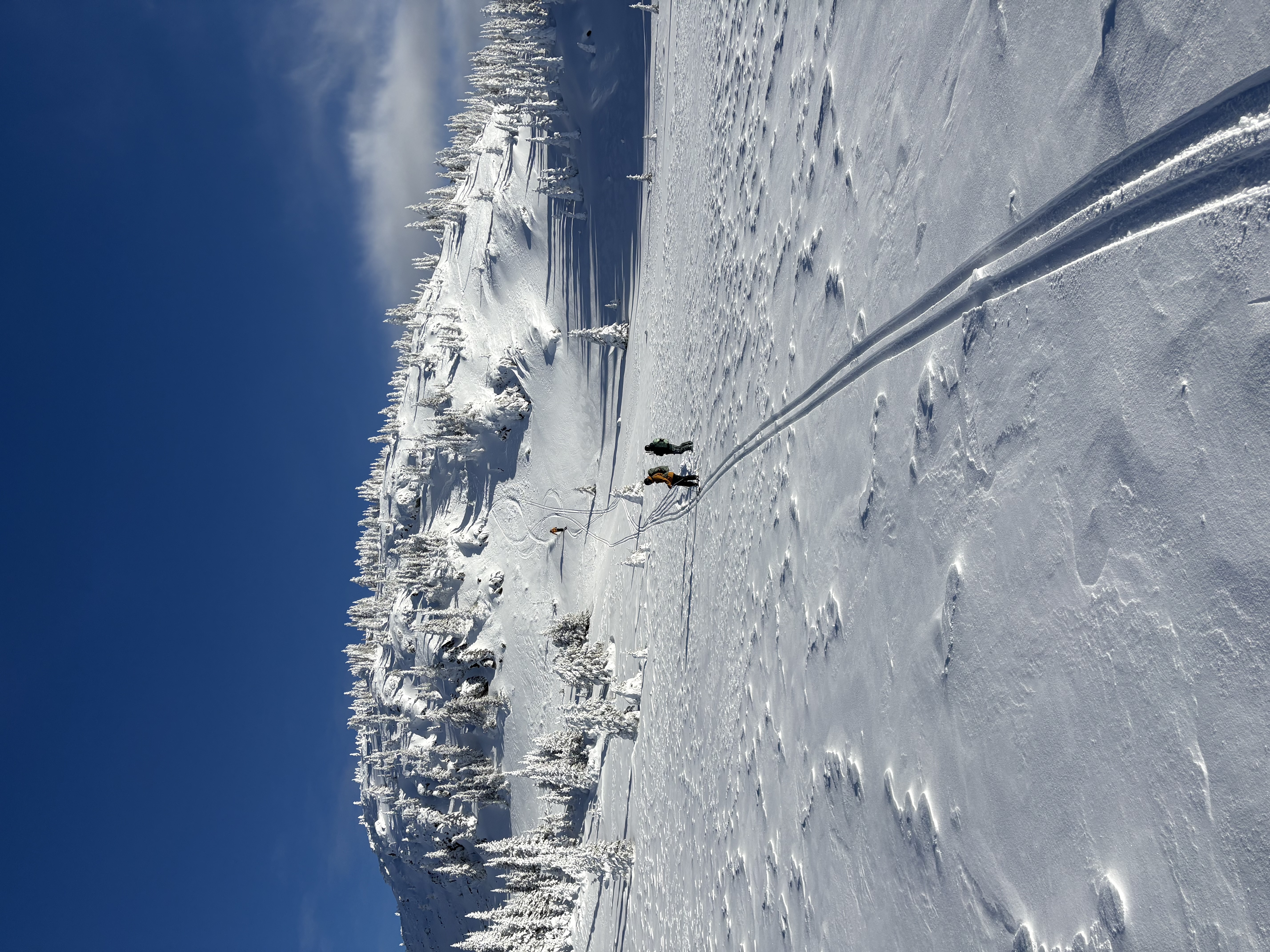 Observation photo