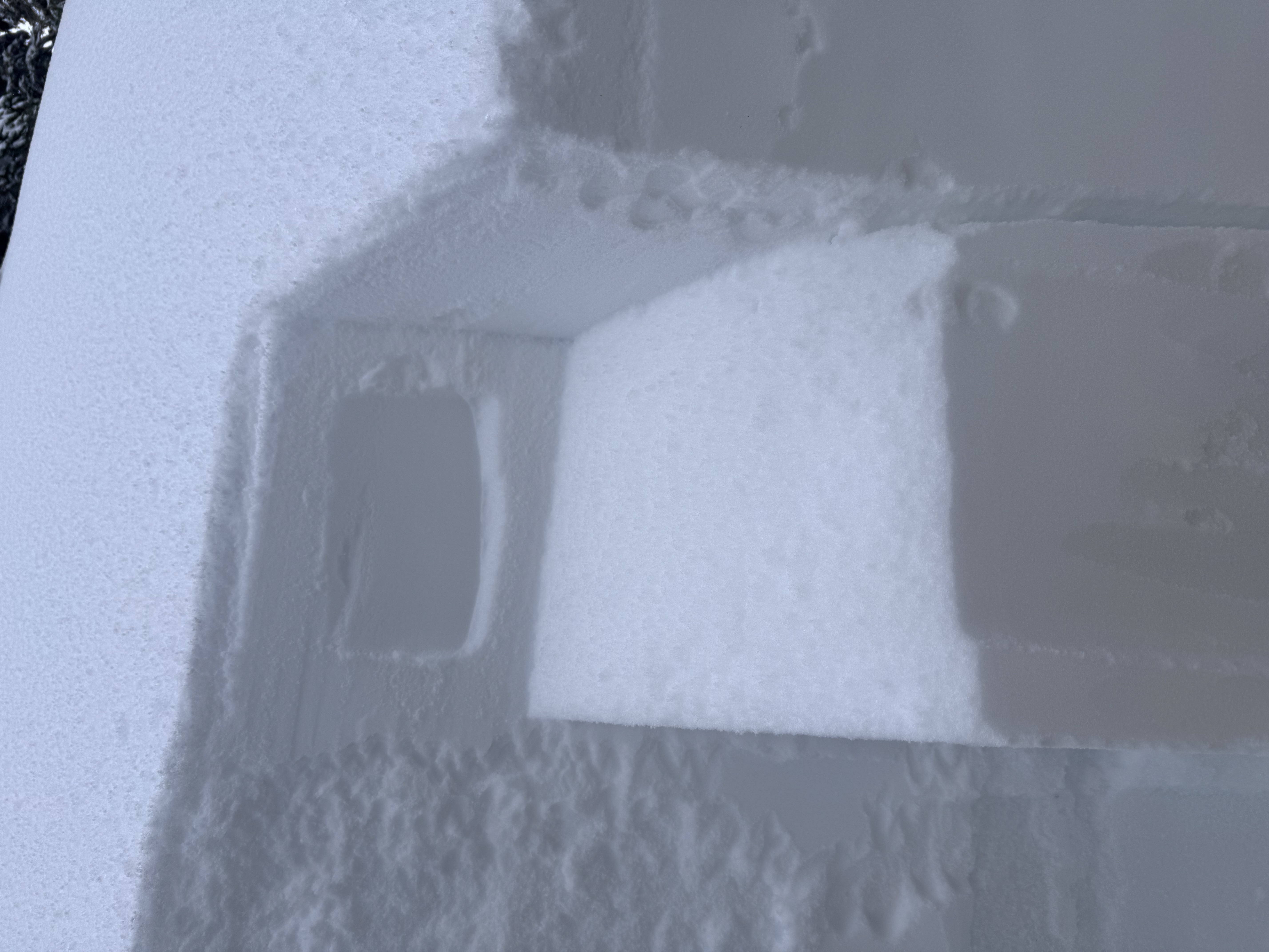 Observation photo