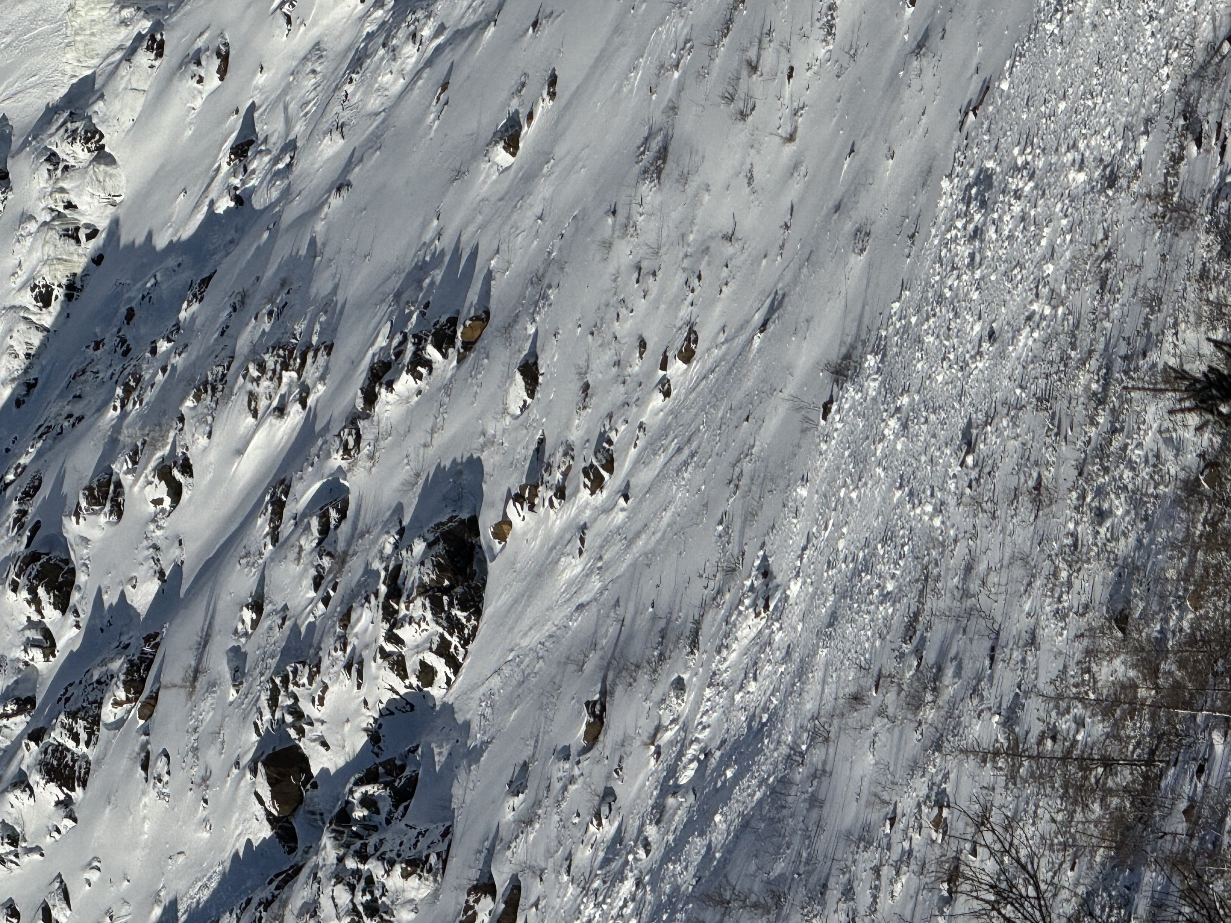 Observation photo