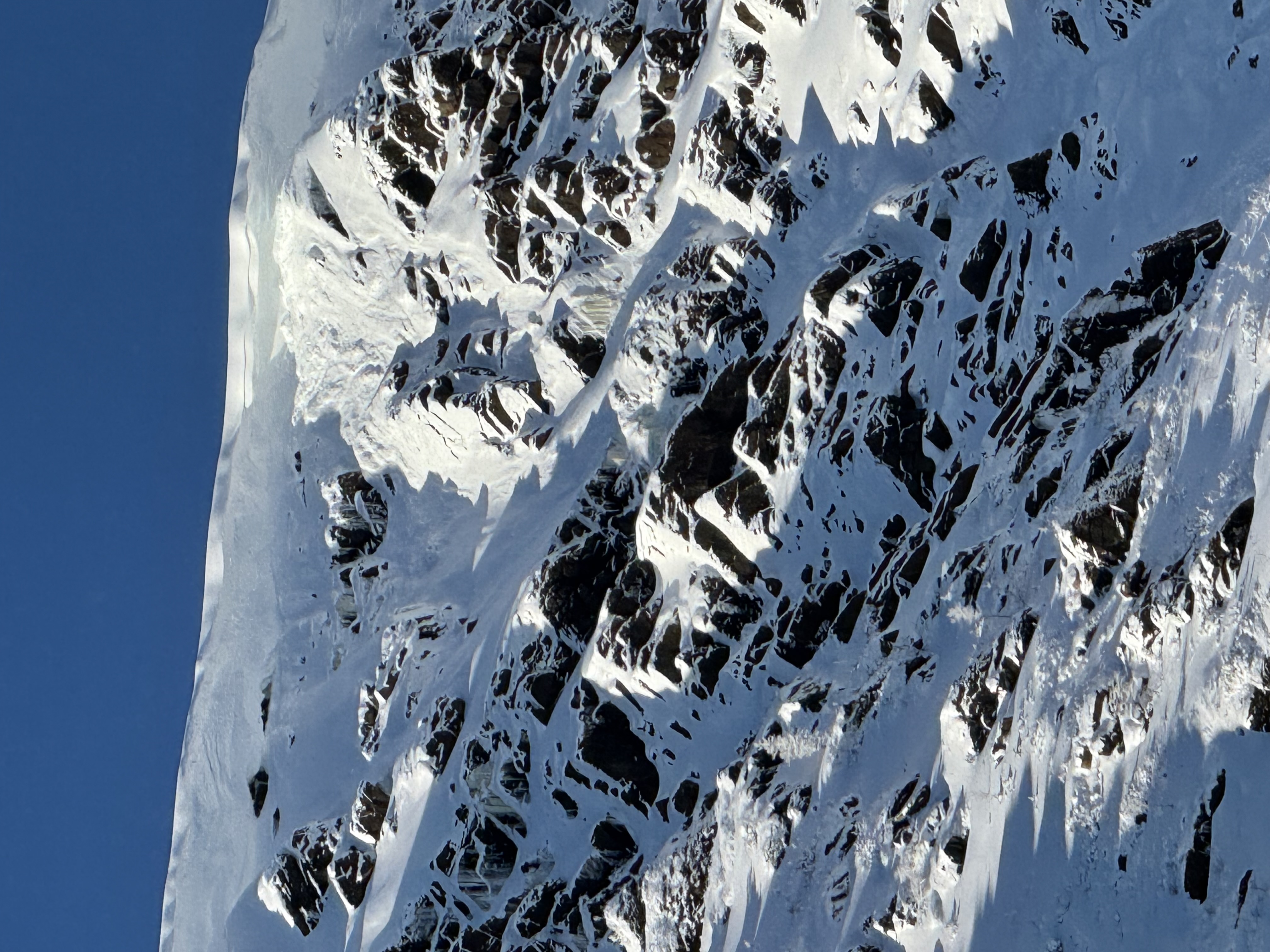 Observation photo